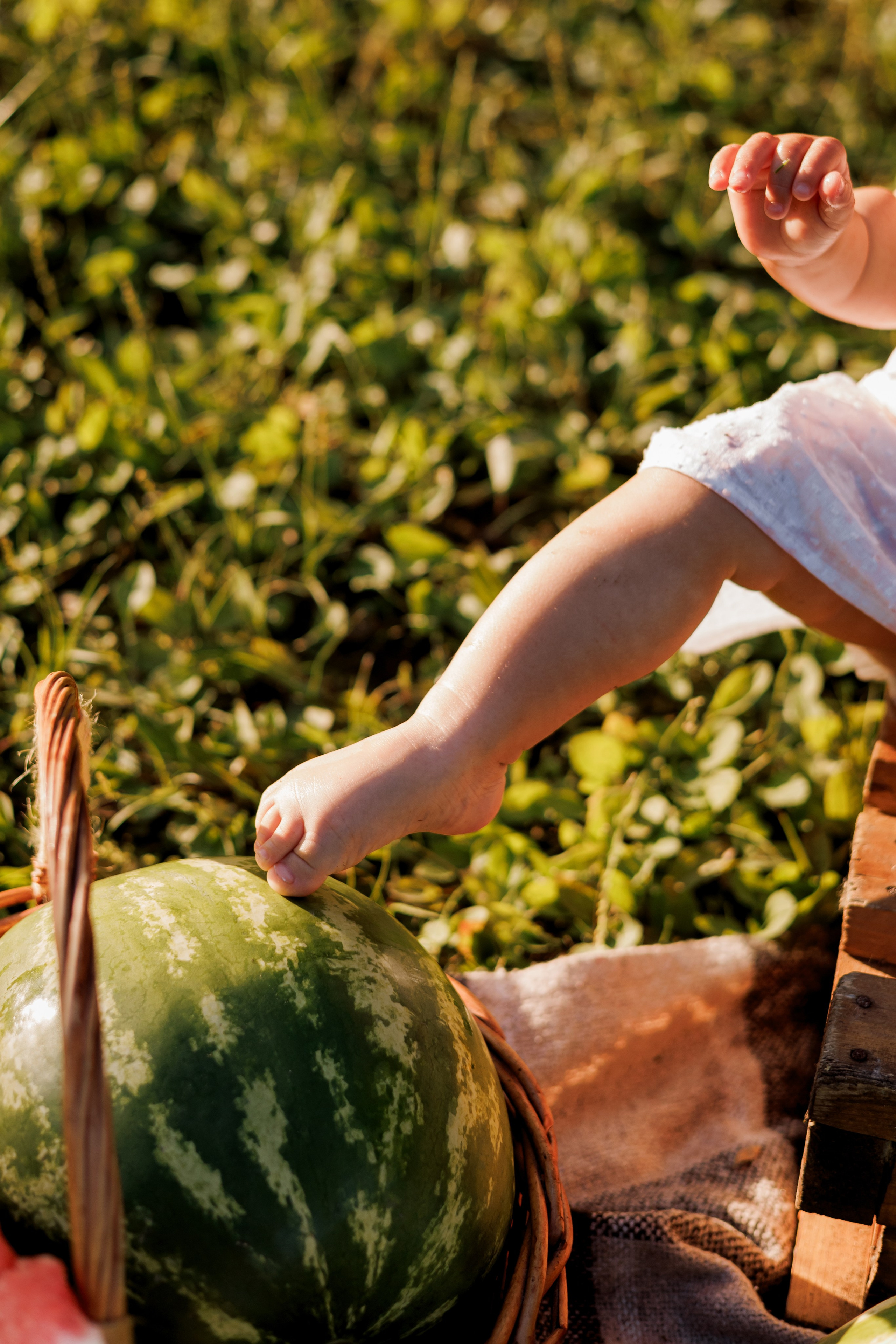Детский фотограф биробиджан. Детский и семейный фотограф  Биробиджан Оля Светагор