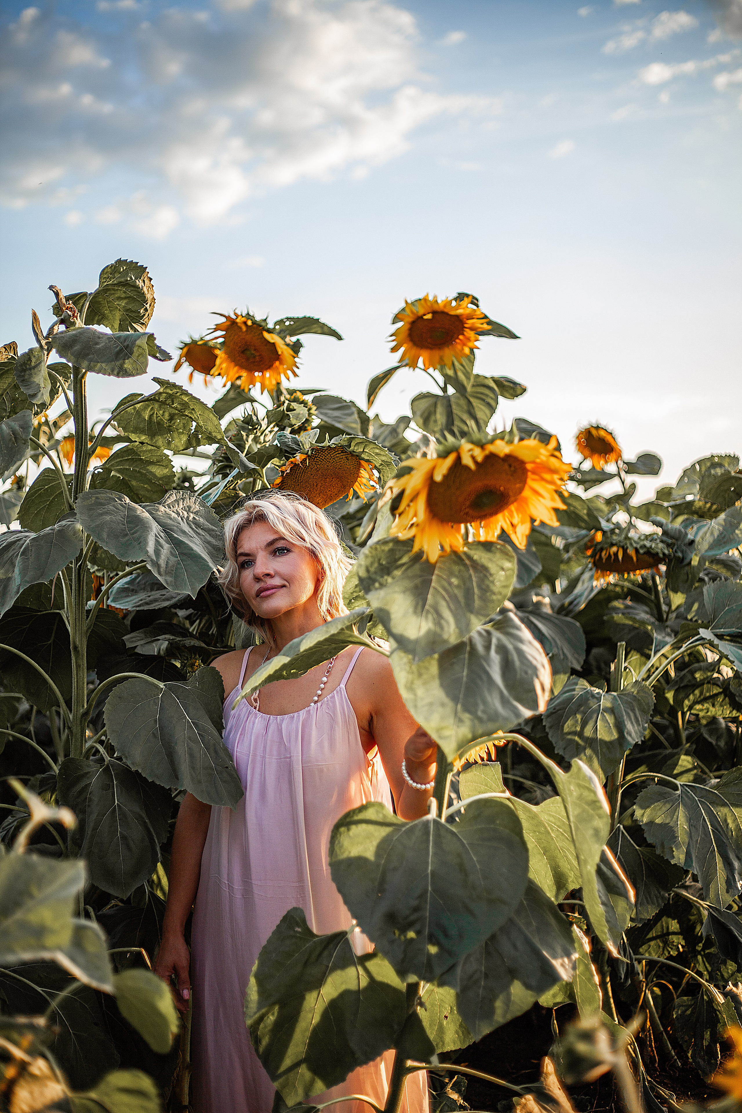 Подсолнухи!