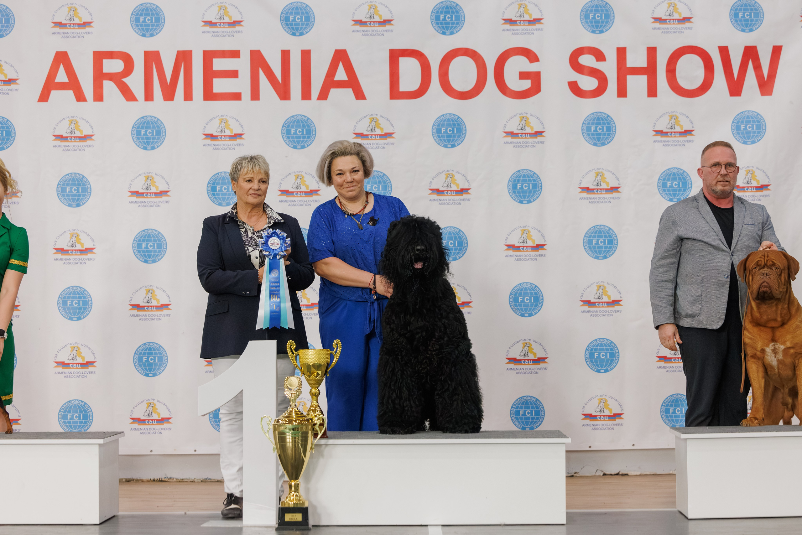 Ереван 2х CACIB 29-30.04.2025. Фотограф-анималист Юлия Германика