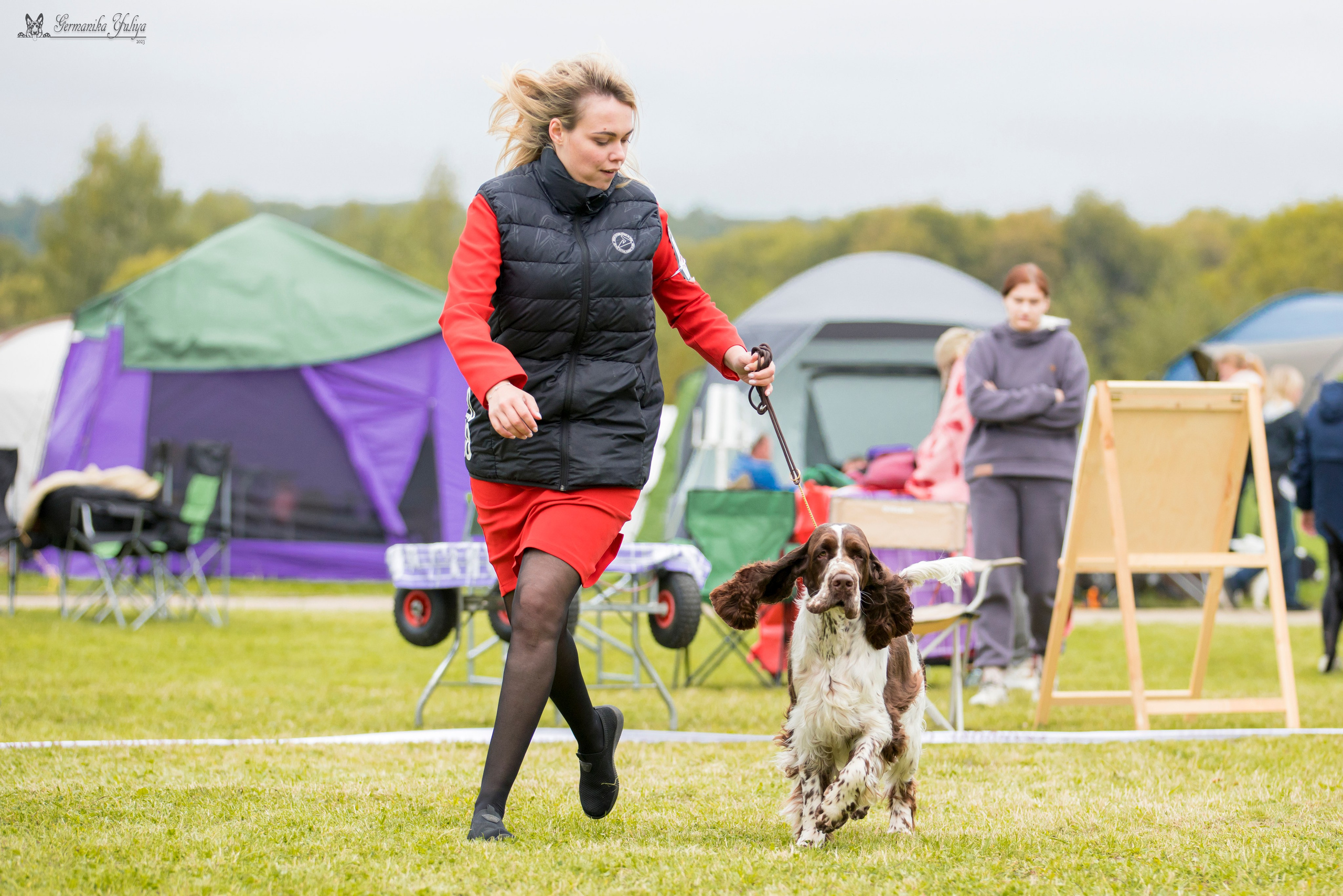 Переславль 9-10.09.2023. Фотограф-анималист Юлия Германика