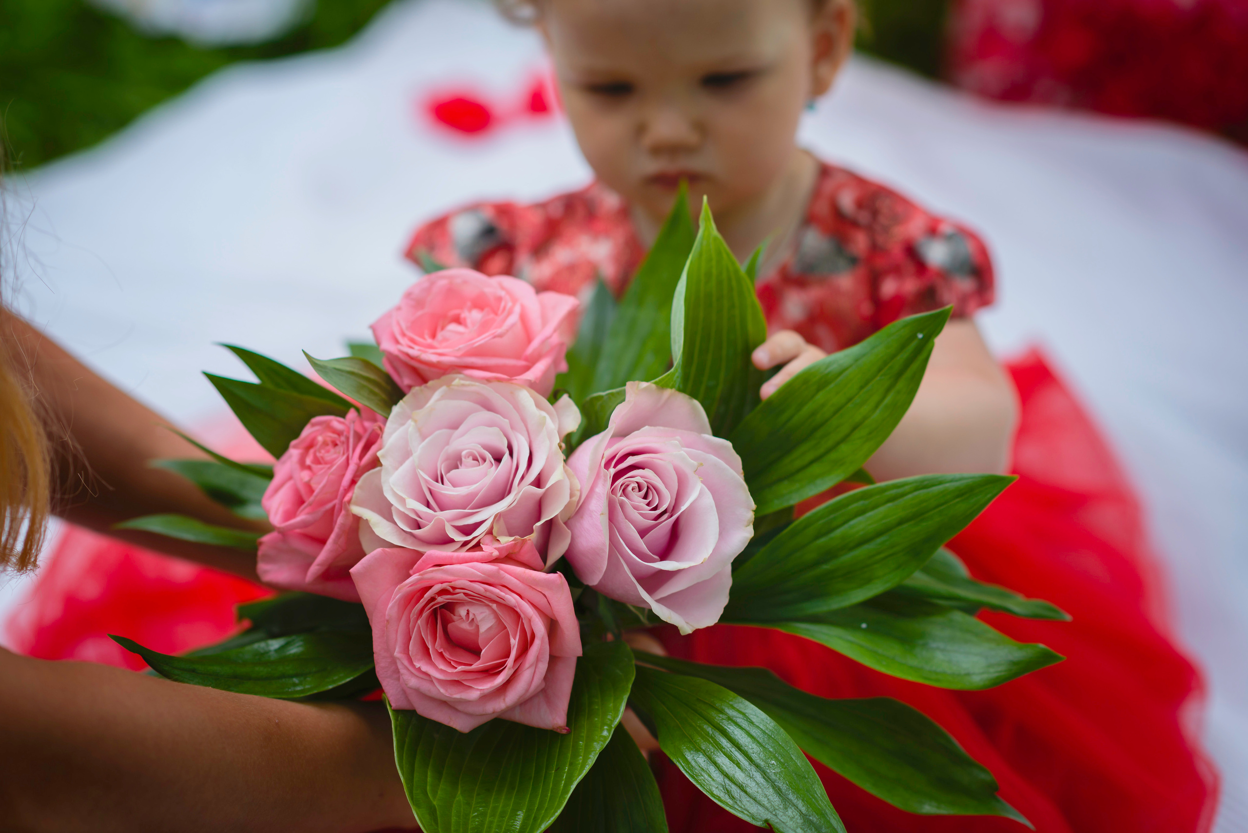 Фотосессии на годик. Семейный фотограф Зыкова Анастасия, работаю в Москве и области