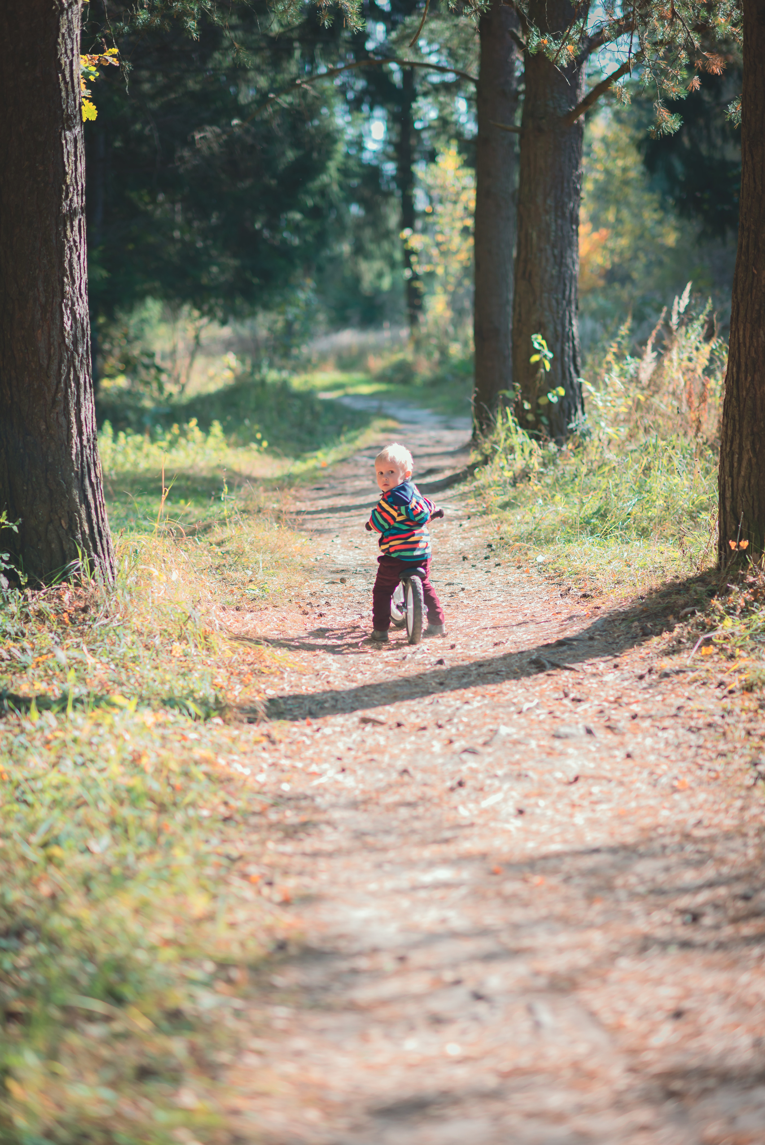 Детская прогулка. Семейный фотограф Зыкова Анастасия, работаю в Москве и области