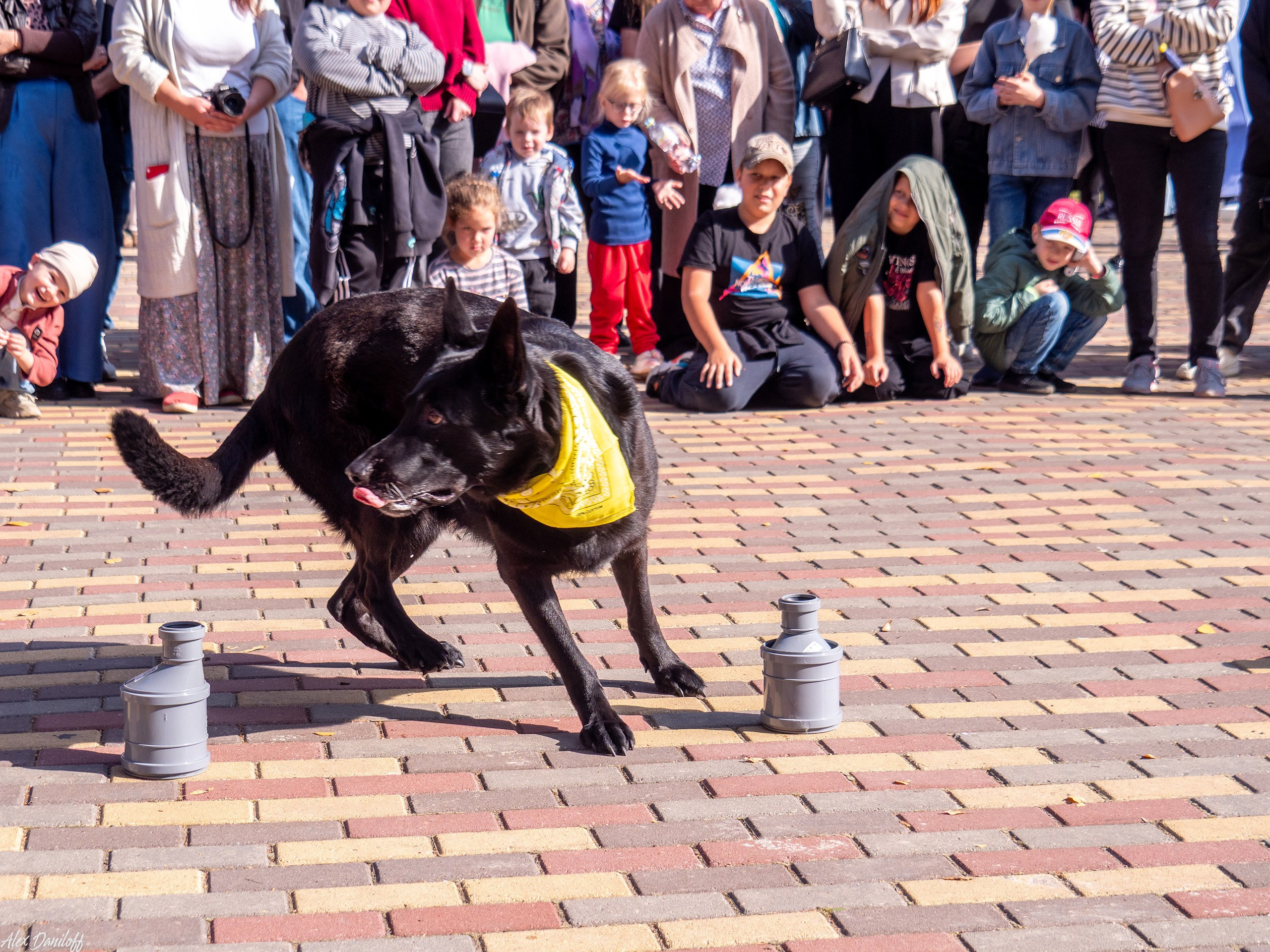 Обнимака 2025. Муром-Инфо. Новости культуры, образования, спорта в городе Муром