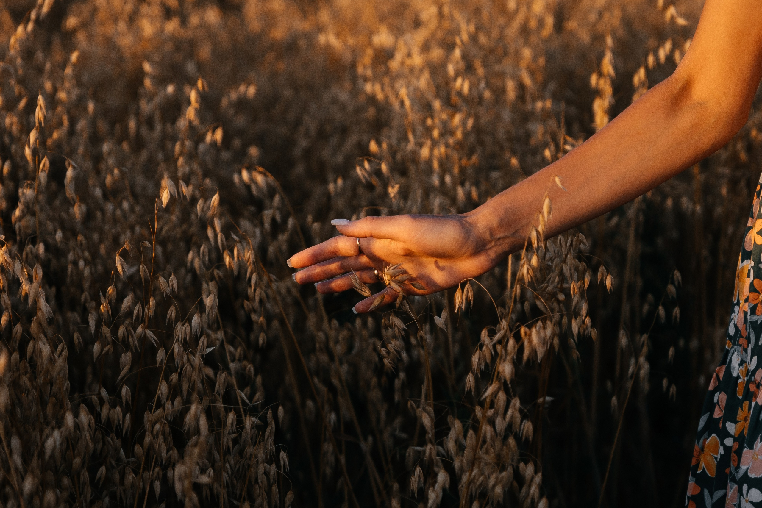 Семейная фотосессия. Ваш самый лучший фотограф!