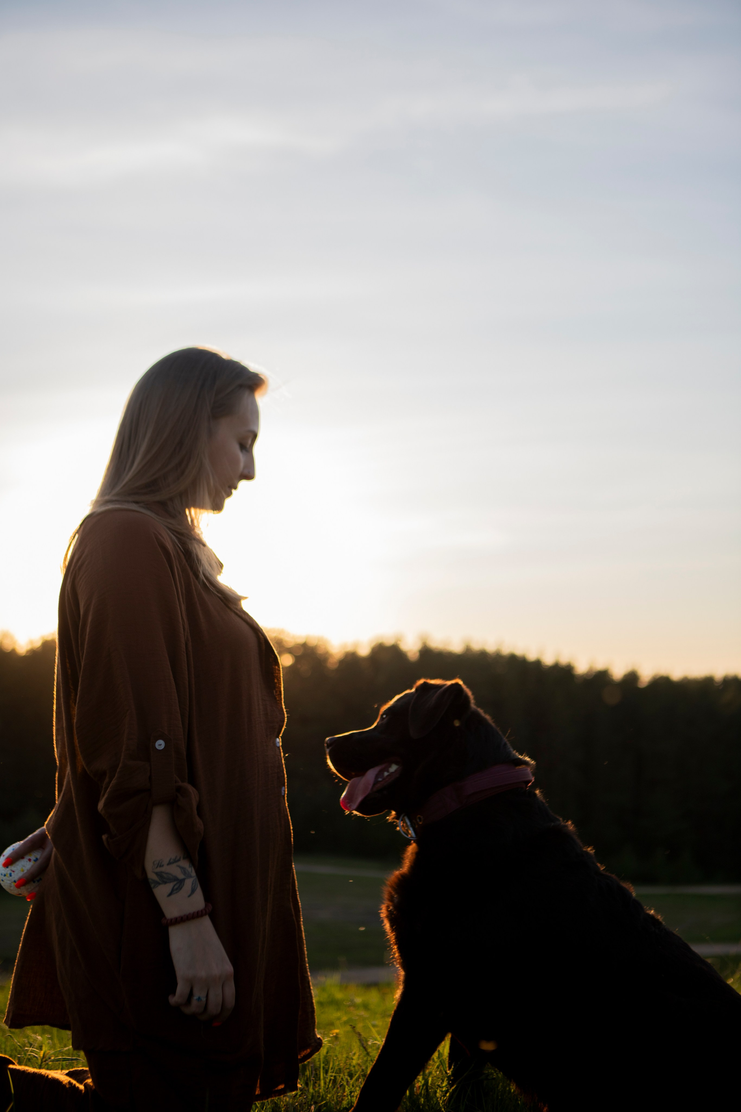 Закатная. Фотограф-анималист в Санкт-Петербурге Алина Яхонт