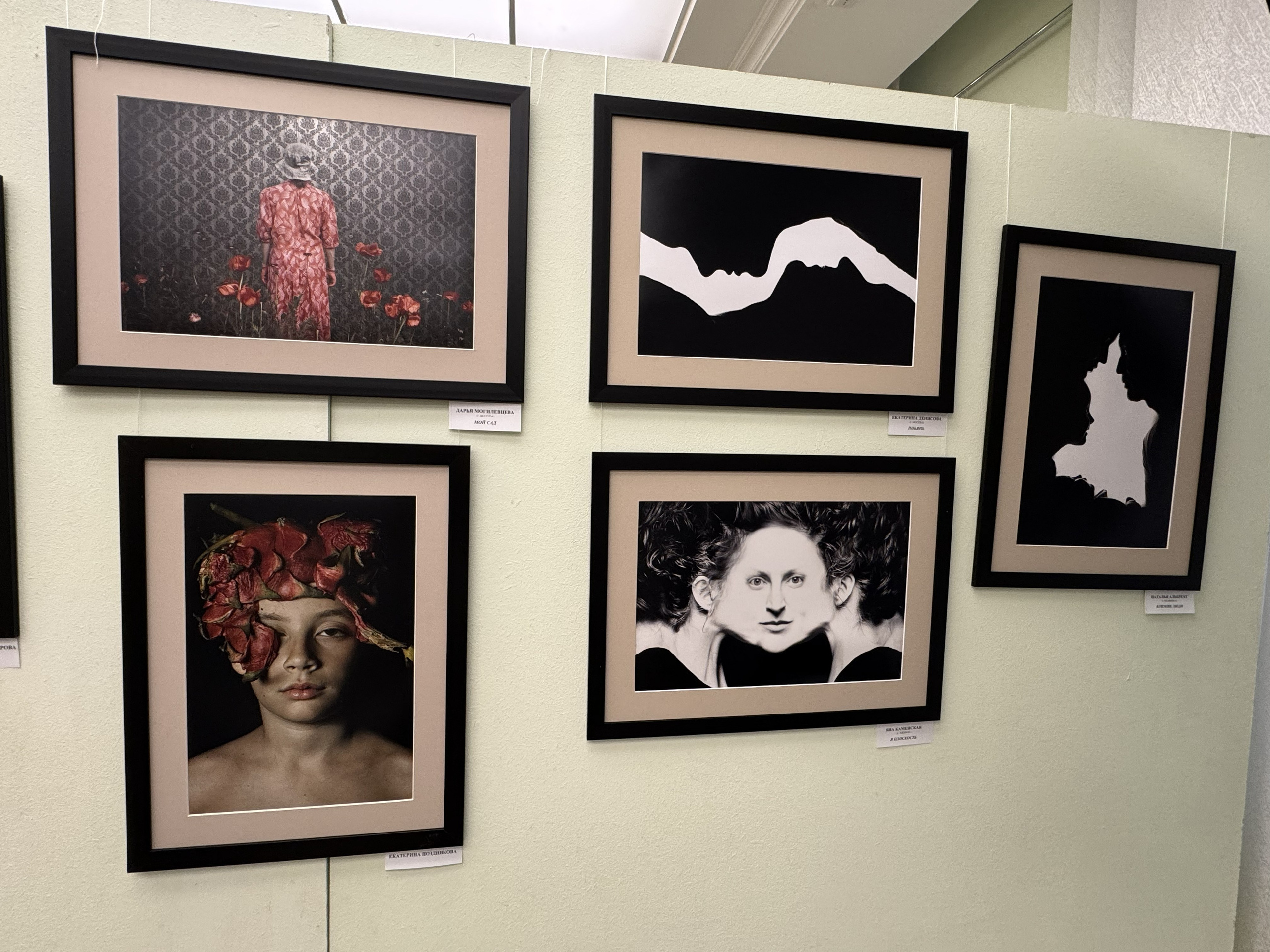 Выставка в галерее имени В. Собровнина. г. Белгород. Россия. Art Рhotographer Russia/Moscow