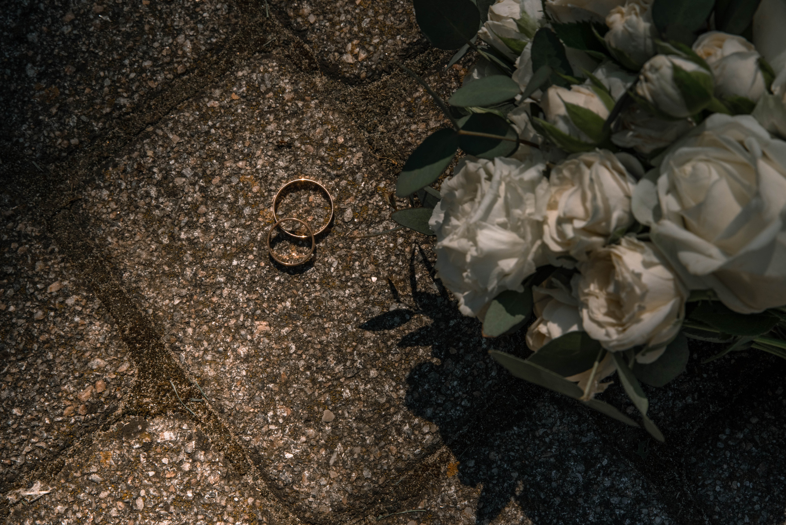 Дарья и Евгений. Свадебный и семейный фотограф в Краснодарском крае