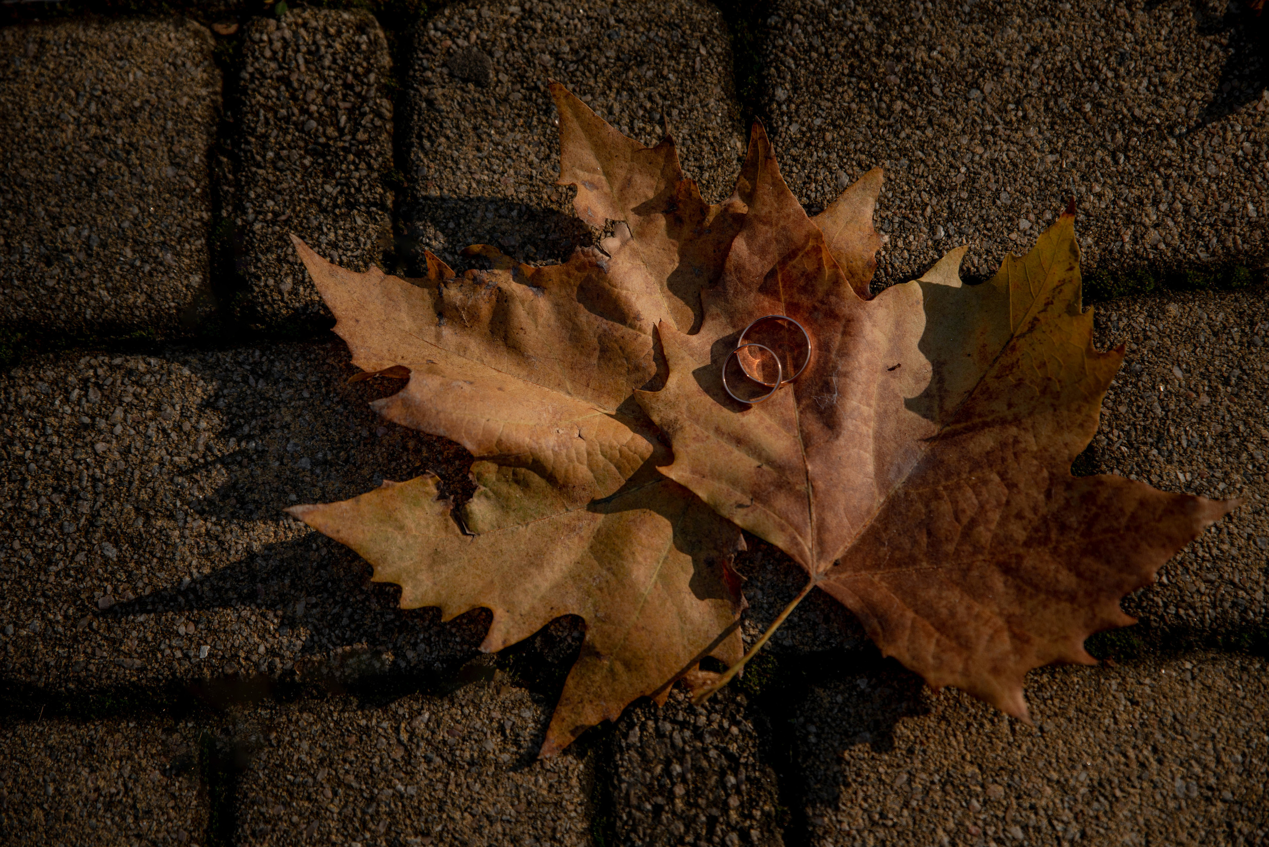 Алина и Александр. Свадебный и семейный фотограф в Краснодарском крае