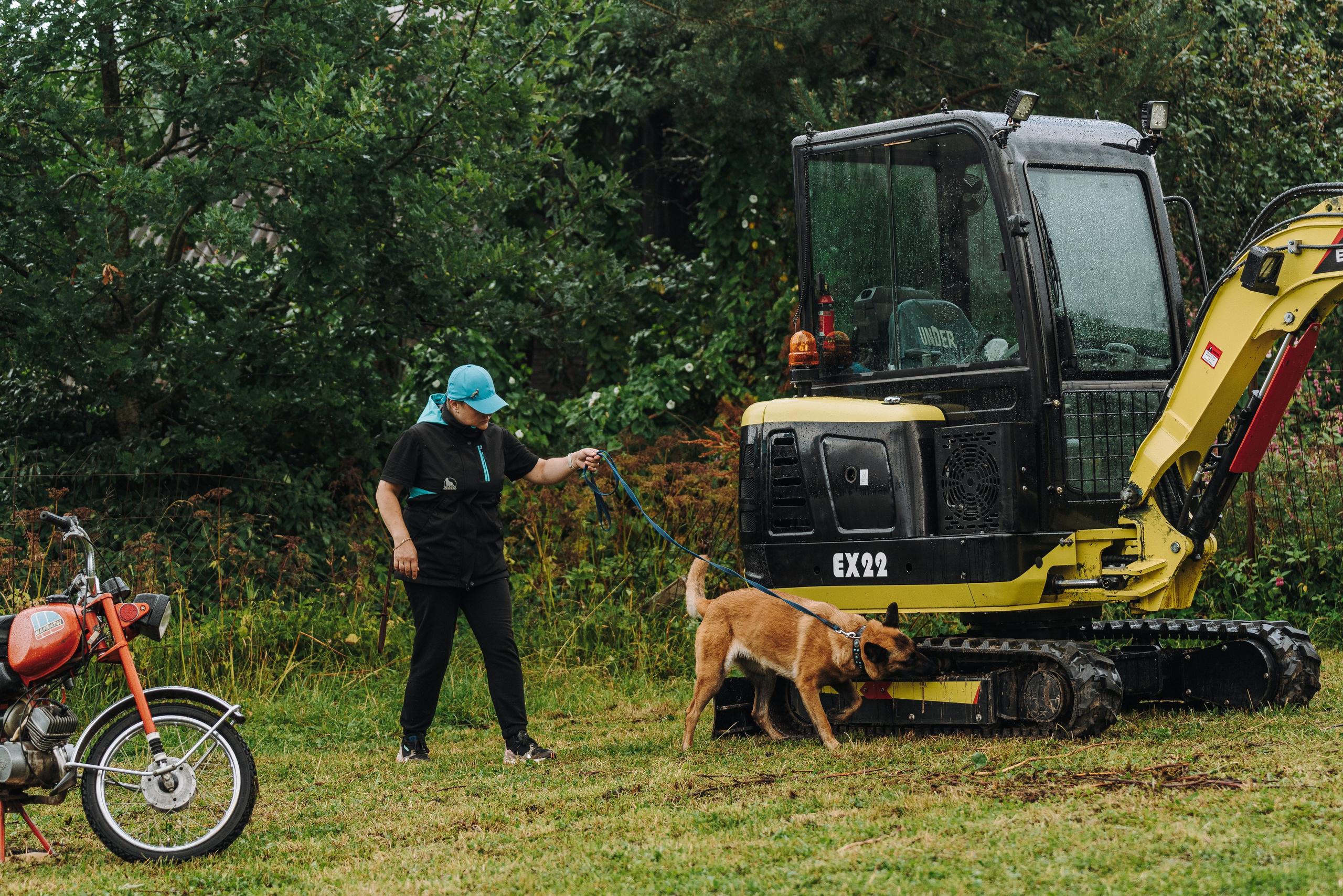 Соревнования по ноузворку в Новожилово. Фотограф анималист в Спб недорого Олеся Майорова