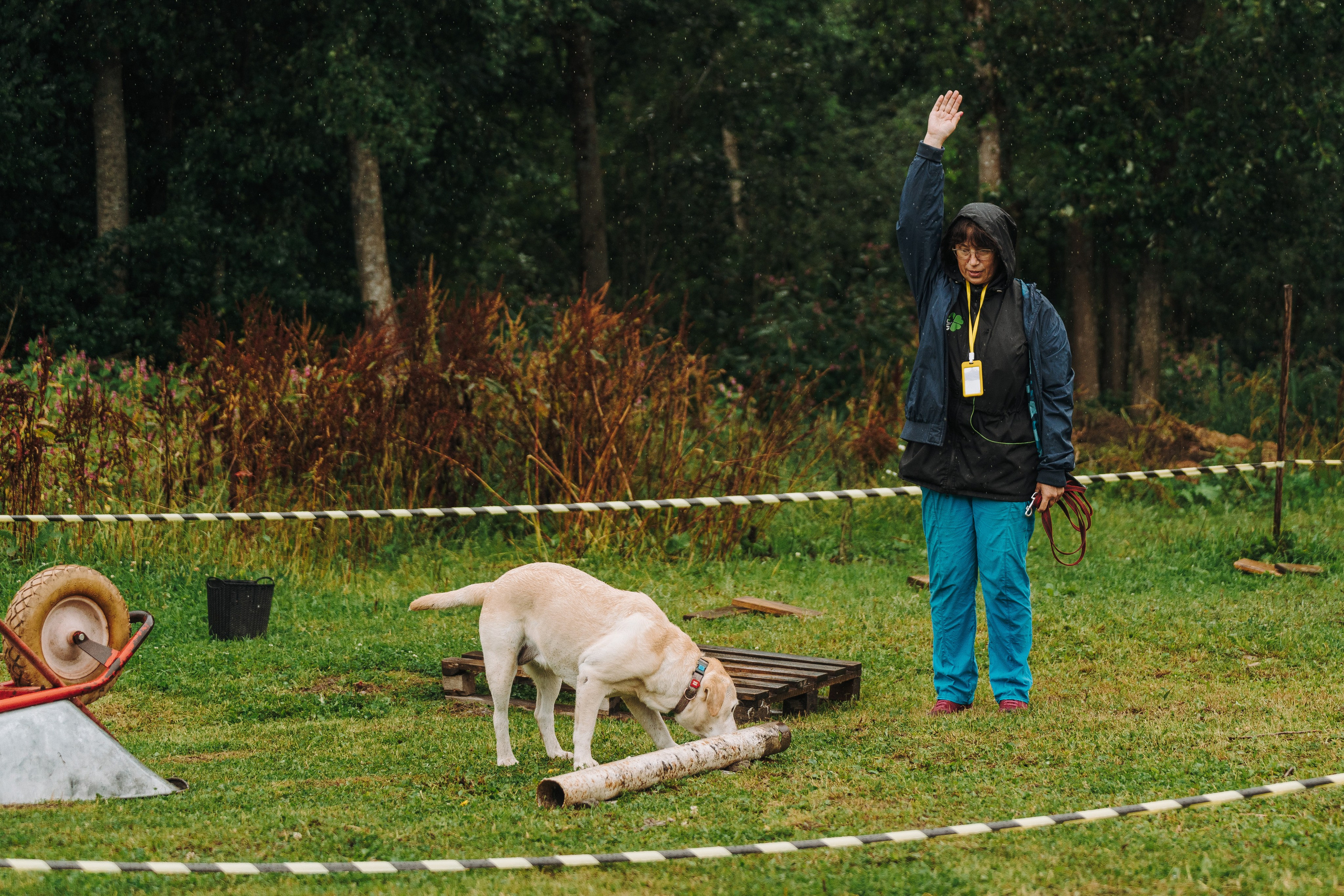 Соревнования по ноузворку в Новожилово. Фотограф анималист в Спб недорого Олеся Майорова