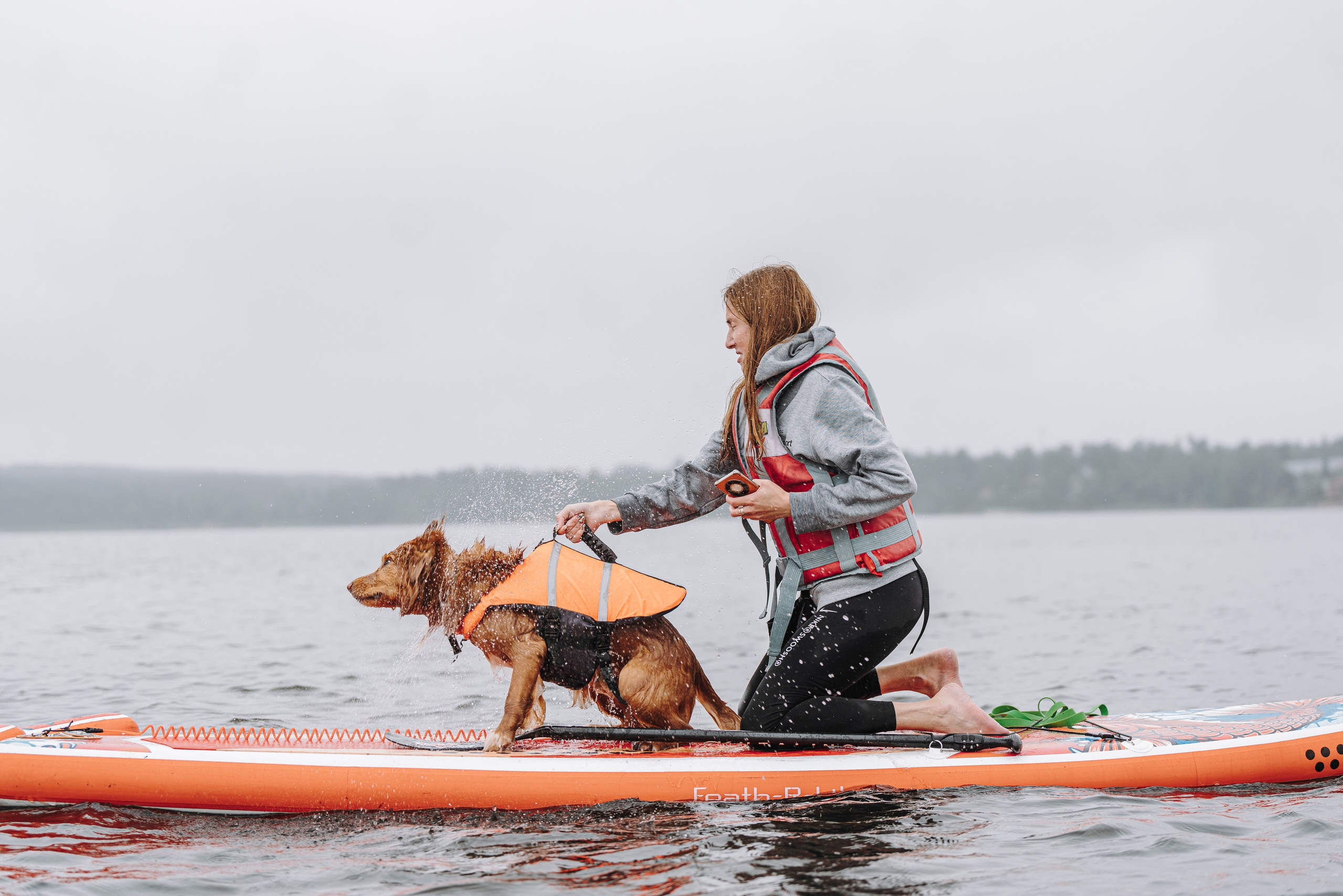 Катание на сапах с собаками. Фотограф анималист в Спб недорого Олеся Майорова