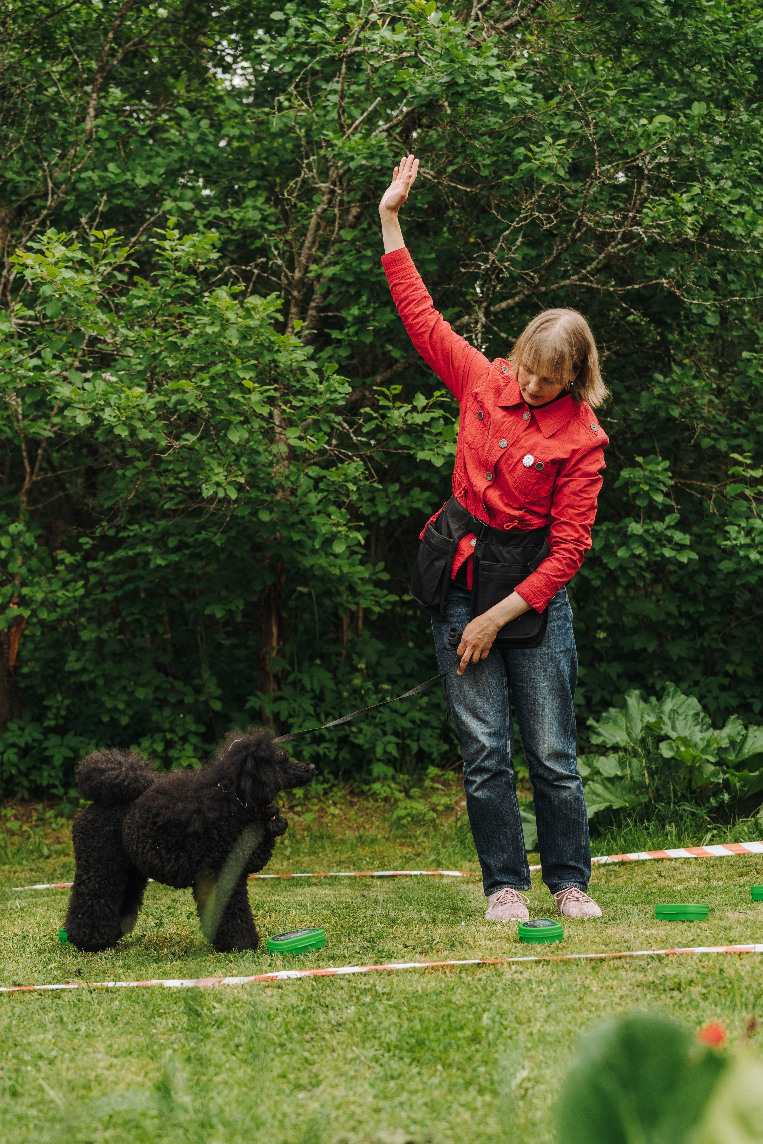 Соревнования по ноузворку. Фотограф анималист в Спб недорого Олеся Майорова