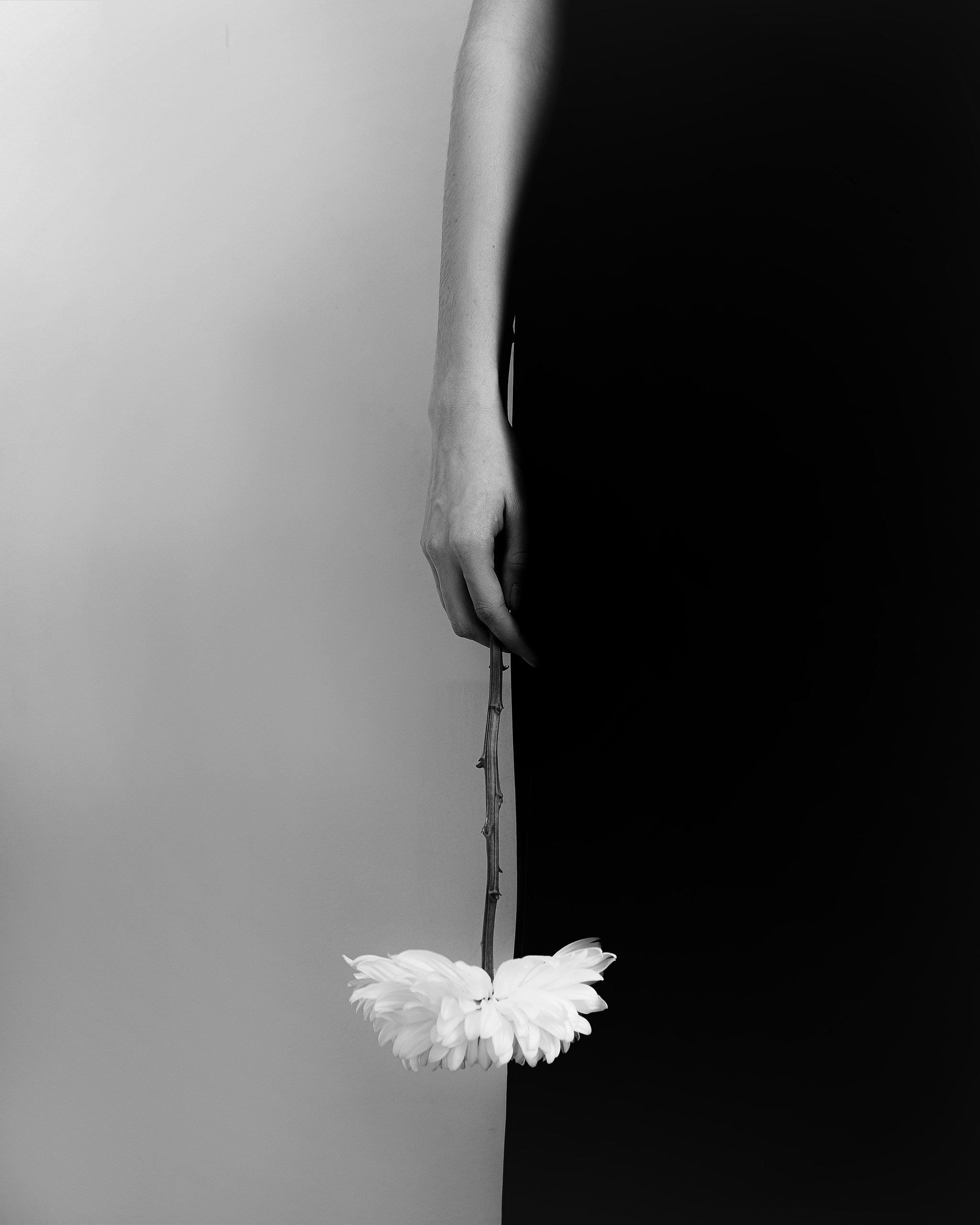 FLOWER. Фотограф Алматы | Весь мир — Никита Колодин