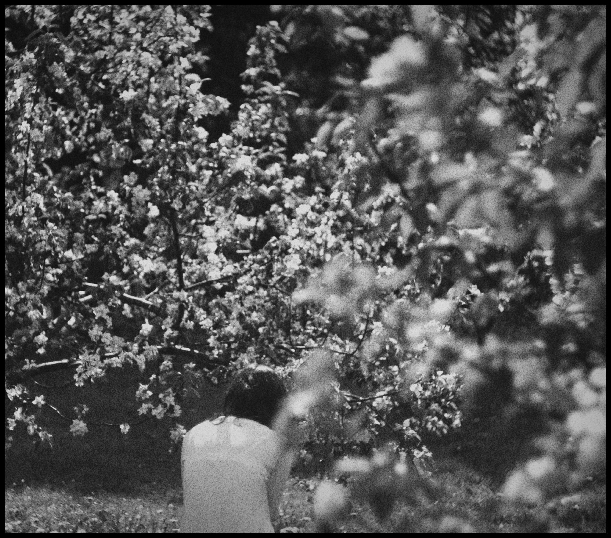 Работы. Свадебный фотограф в Москве Сафонова Анна