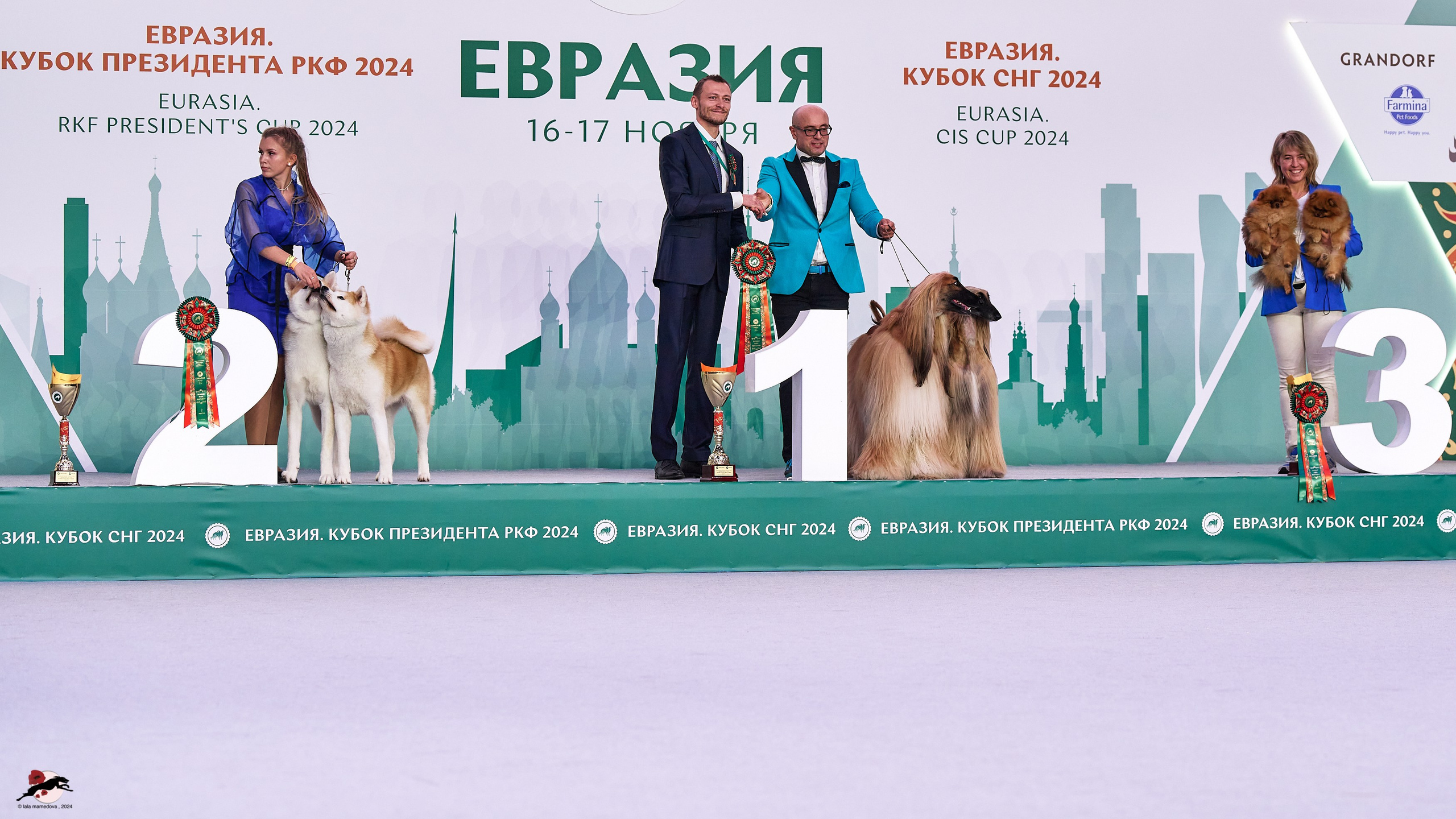 17.11.2024 «ЕВРАЗИЯ. КУБОК СНГ 2024»