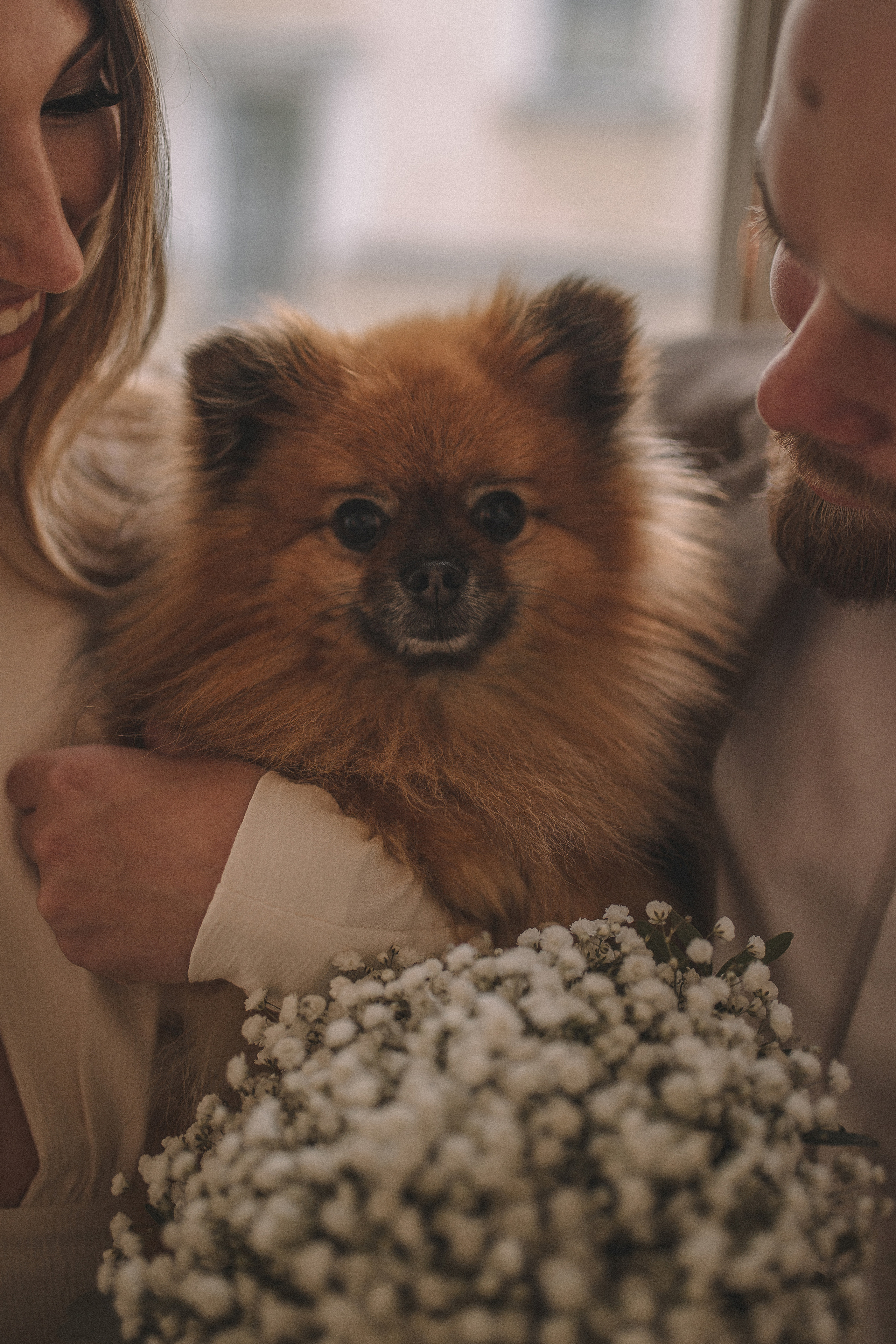 И&A | Санкт-Петербург. Фотограф Екатерина Амбрушкевич