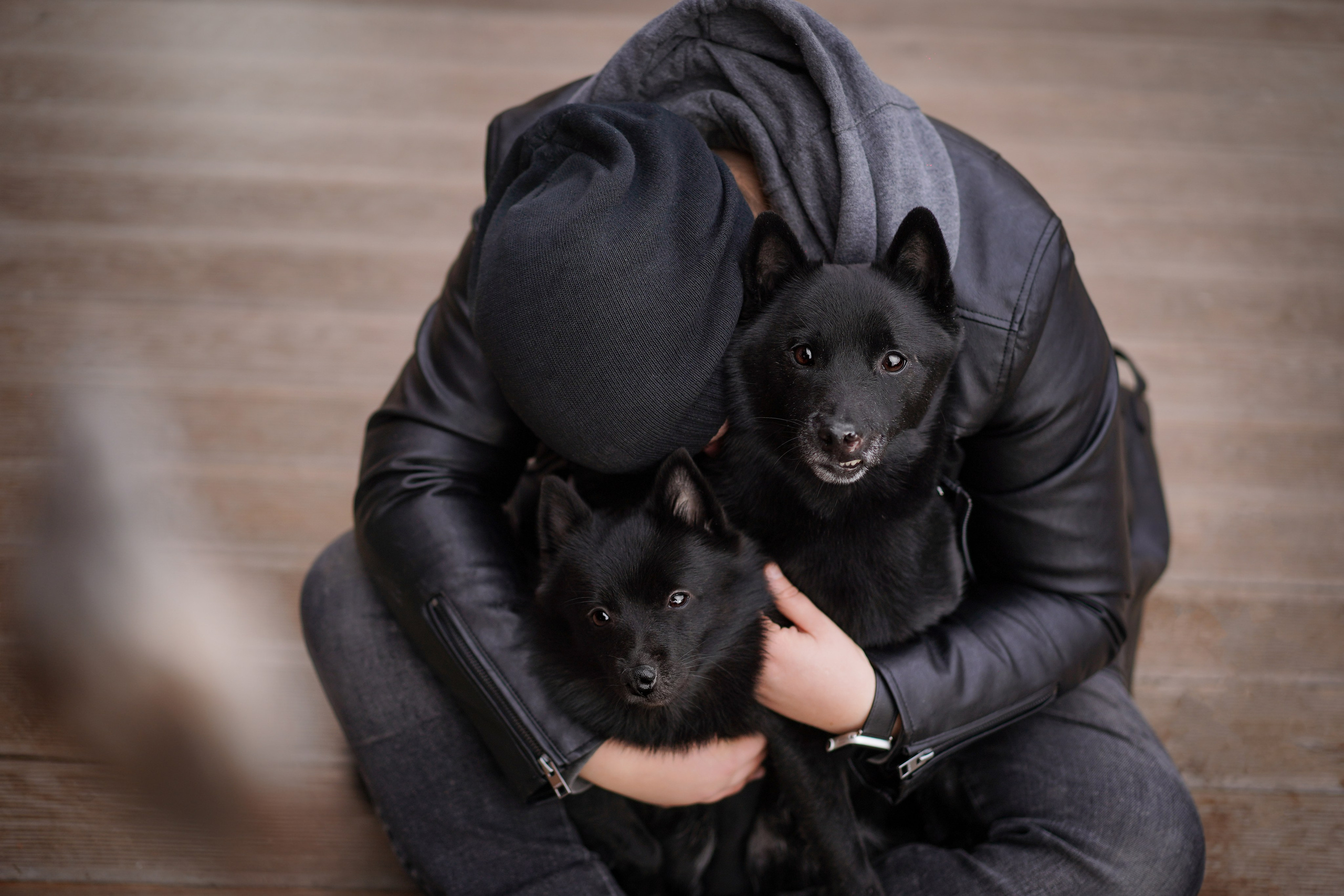 Аня Арчи и Мишель. Фотограф-анималист в Санкт-Петербурге Яна Мартынова