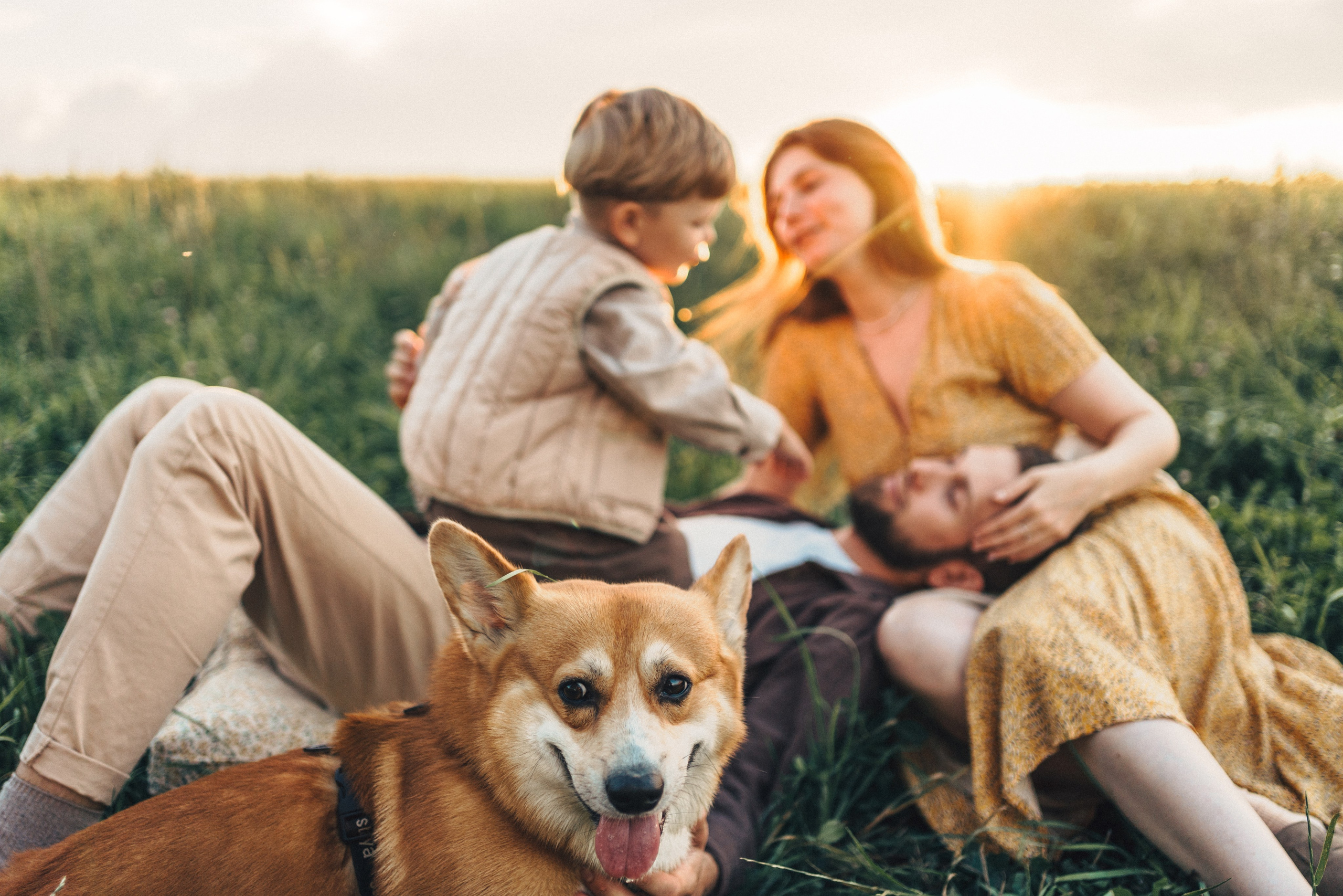 Семейные. Семейный и детский фотограф и видеограф в Москве, Серпухове и Тарусе Валерия Сорокина