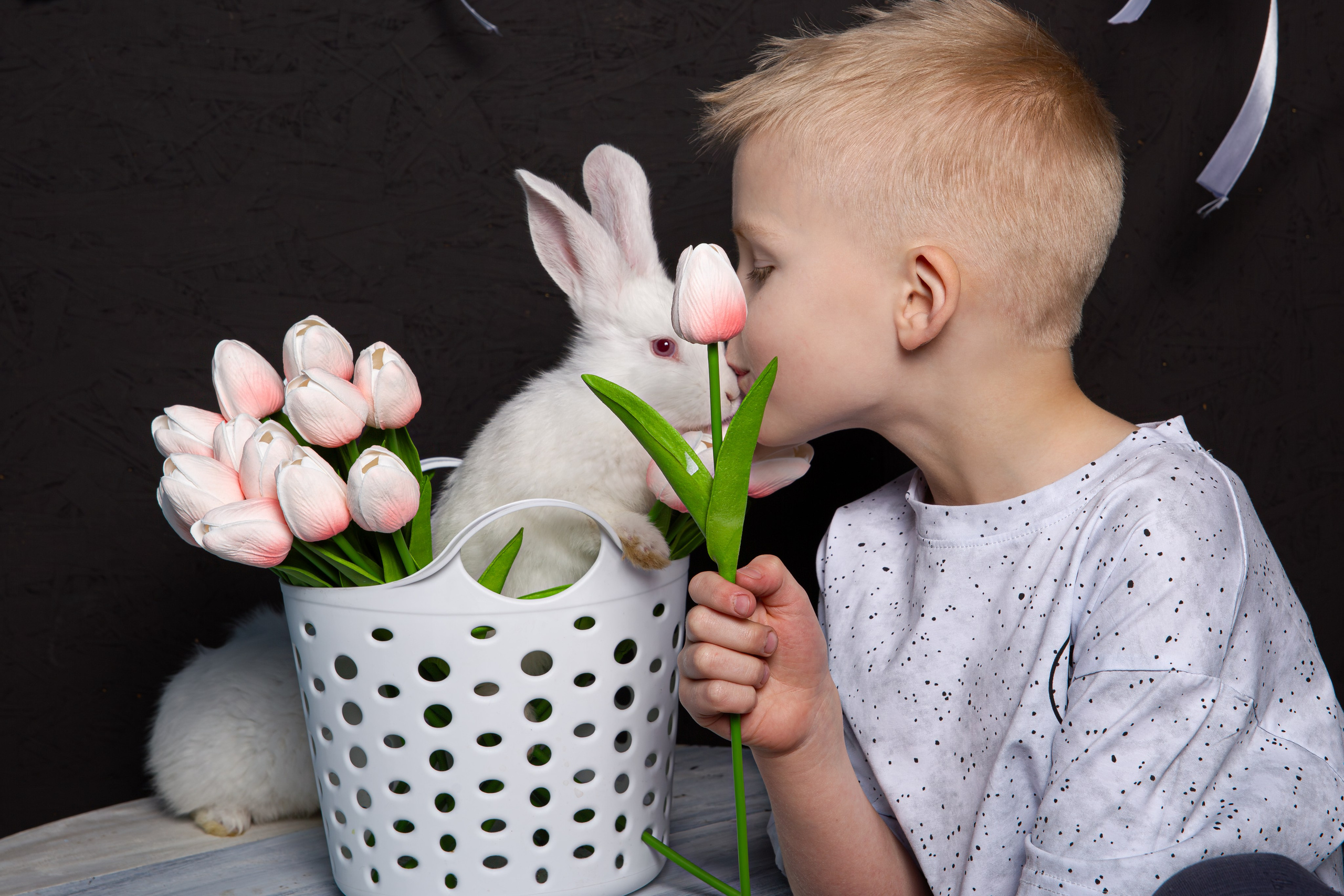 Крольчата март 2025. Фотограф на Камчатке Анна Моргачёва. Семейные и детские съёмки
