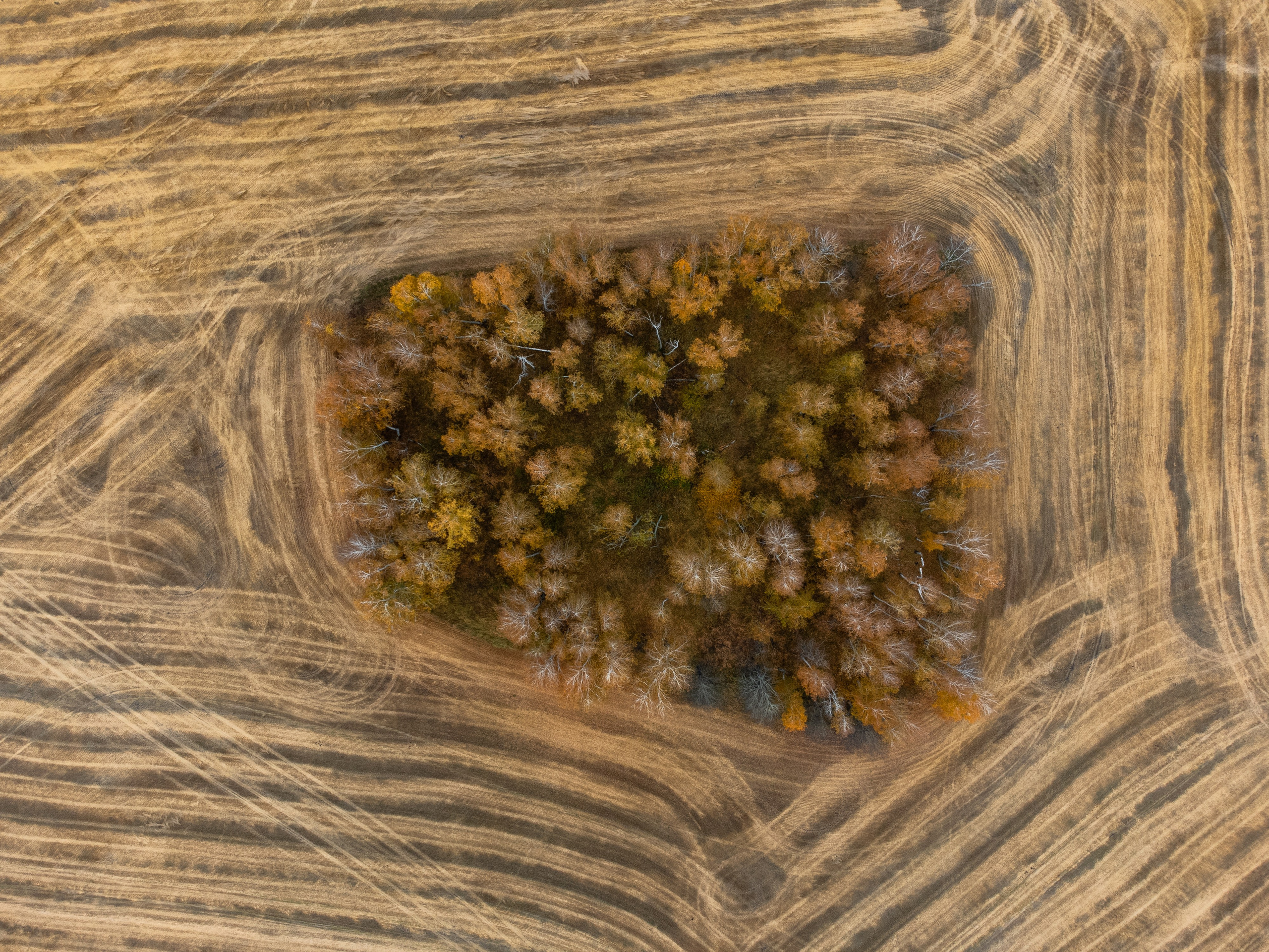 Курганская область. Daria wanderer photography