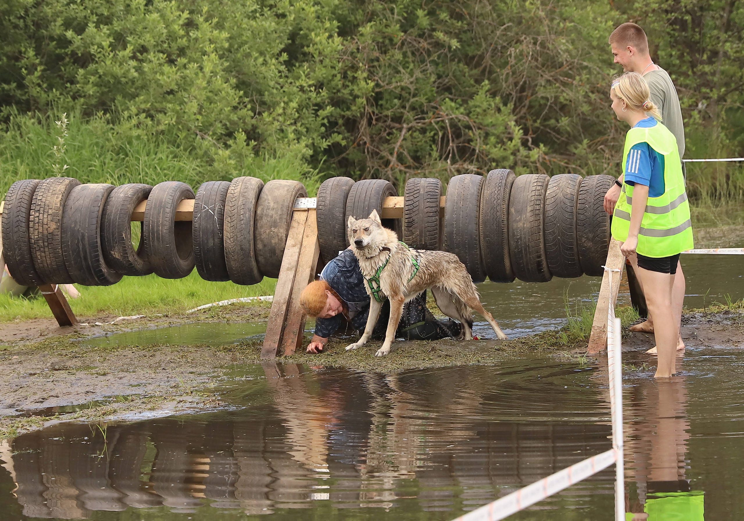 Хвостатый драйв. Семейный и детский фотограф в Москве и МО Елена Москвичева
