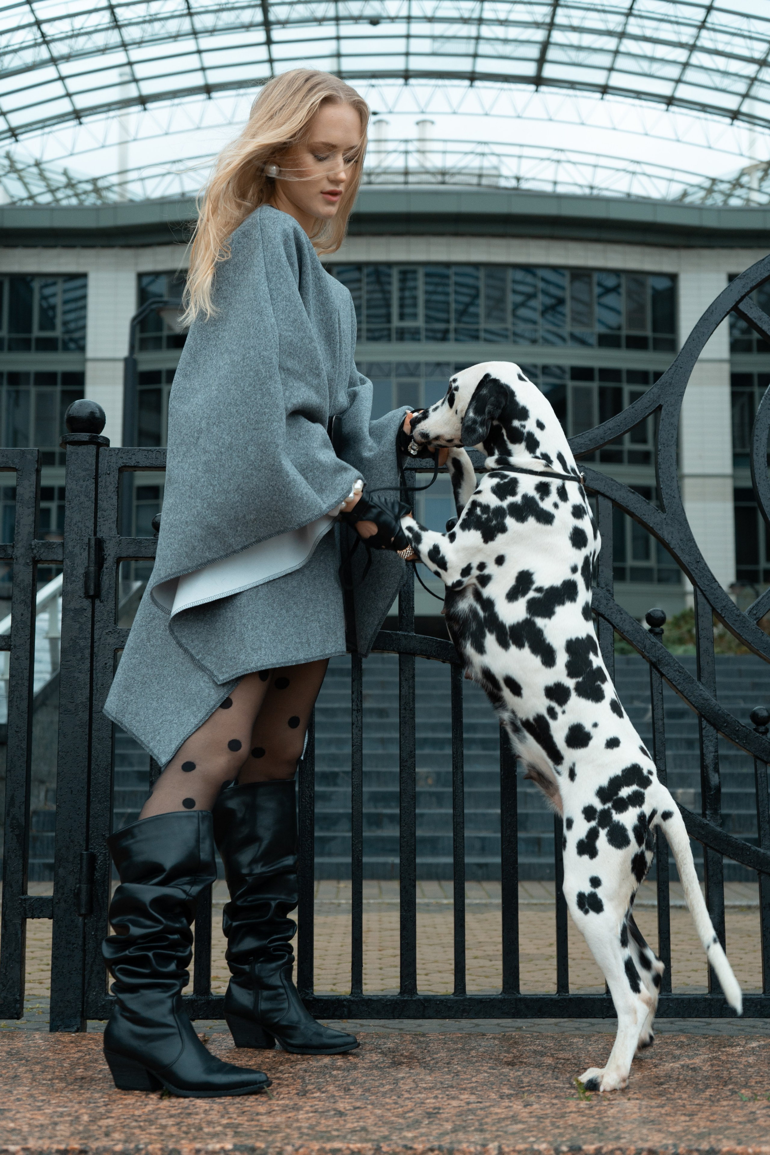 Милана и далматинец. Фотограф в Санкт-Петербурге Дарья Фелингер