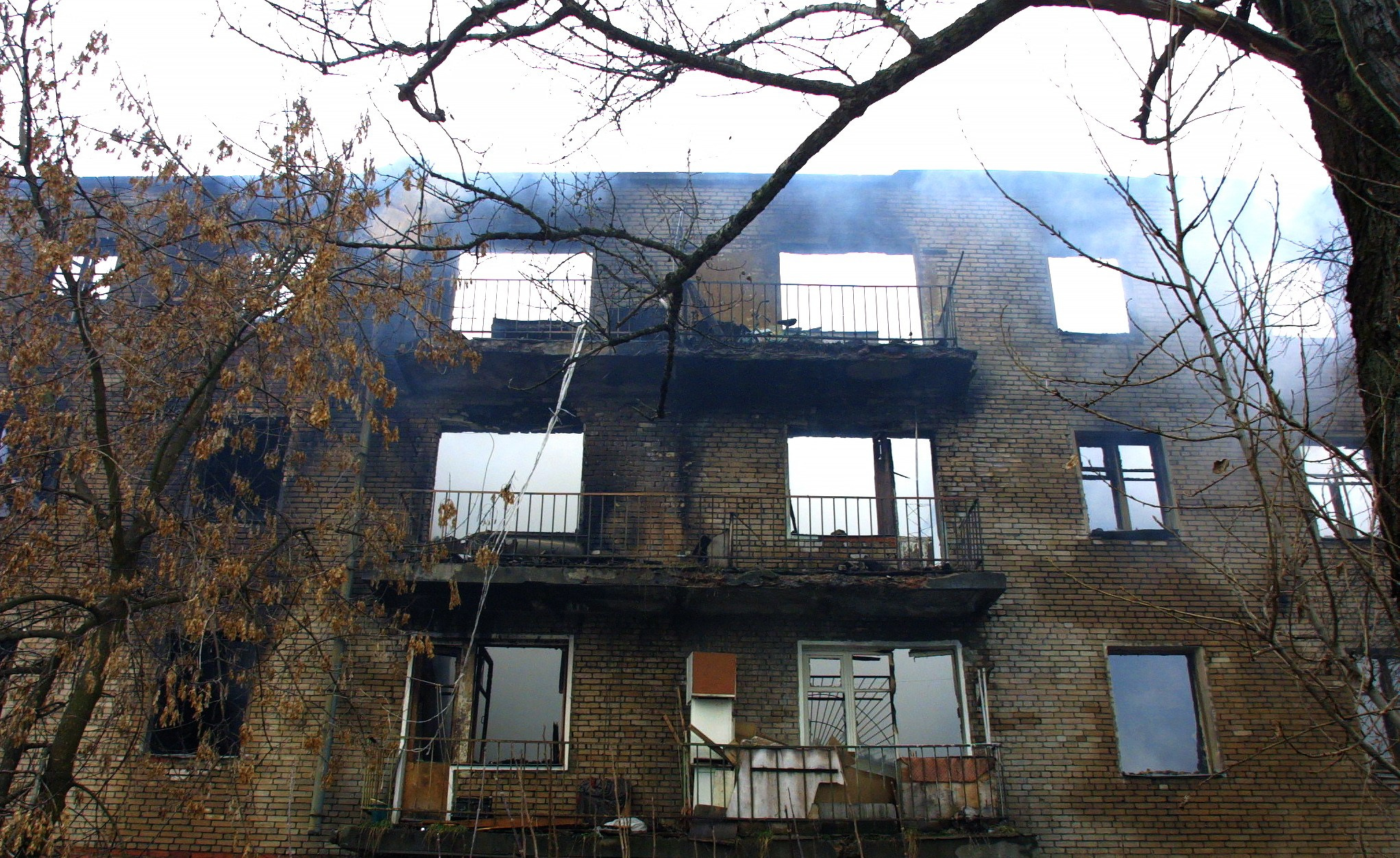 Репортажи. Фотограф в Москве Юлия Майорова