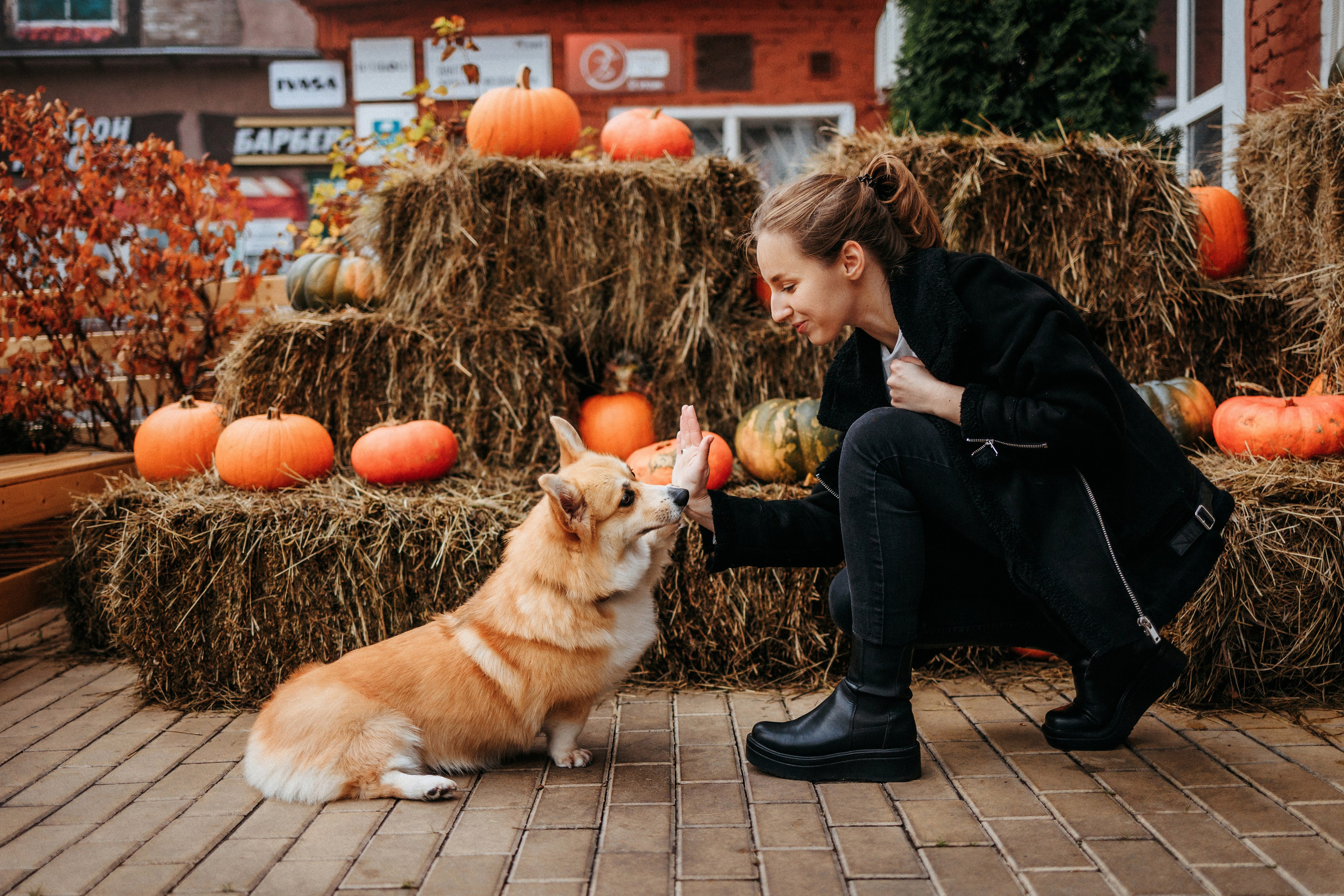 Вера, Саша и Муна. Фотограф-анималист Елена Радченко, Москва