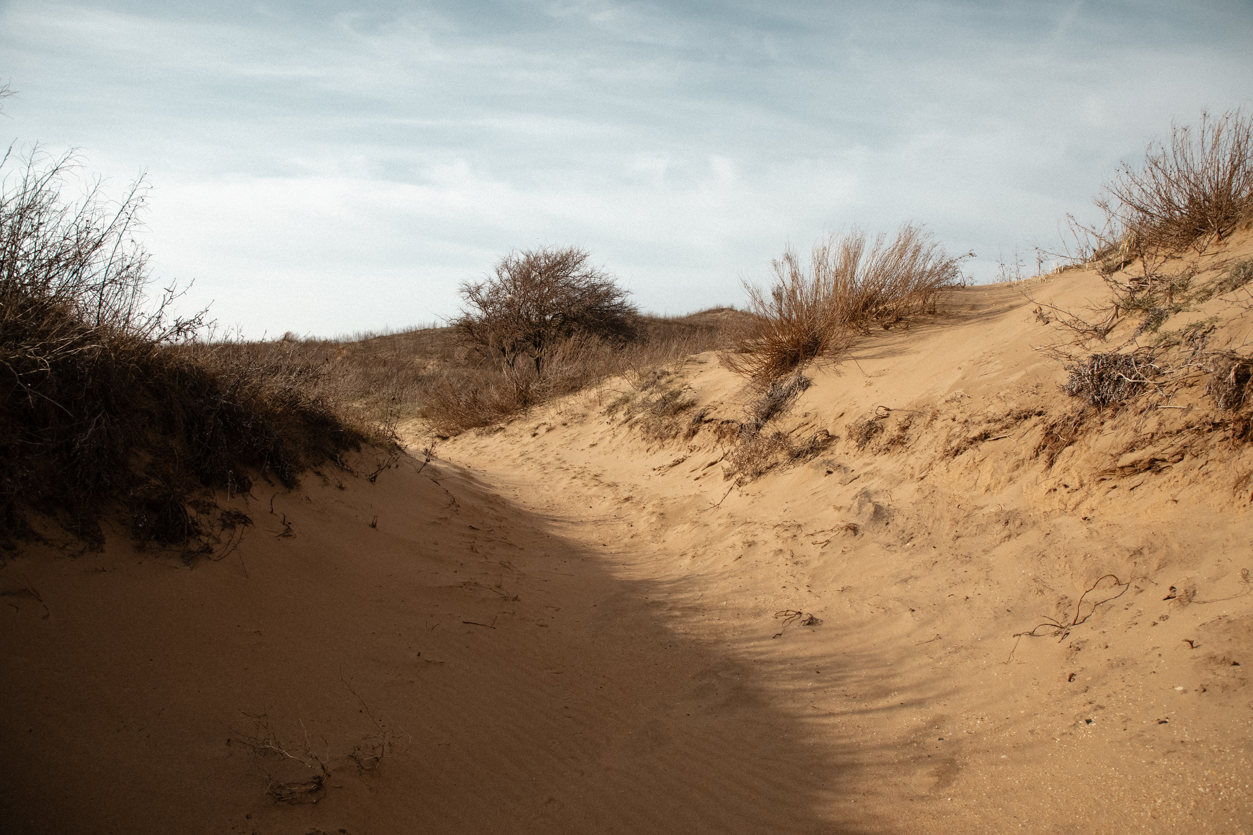 Анапа. Свадебный и семейный фотограф/видеограф в Краснодаре Наталья Осинская