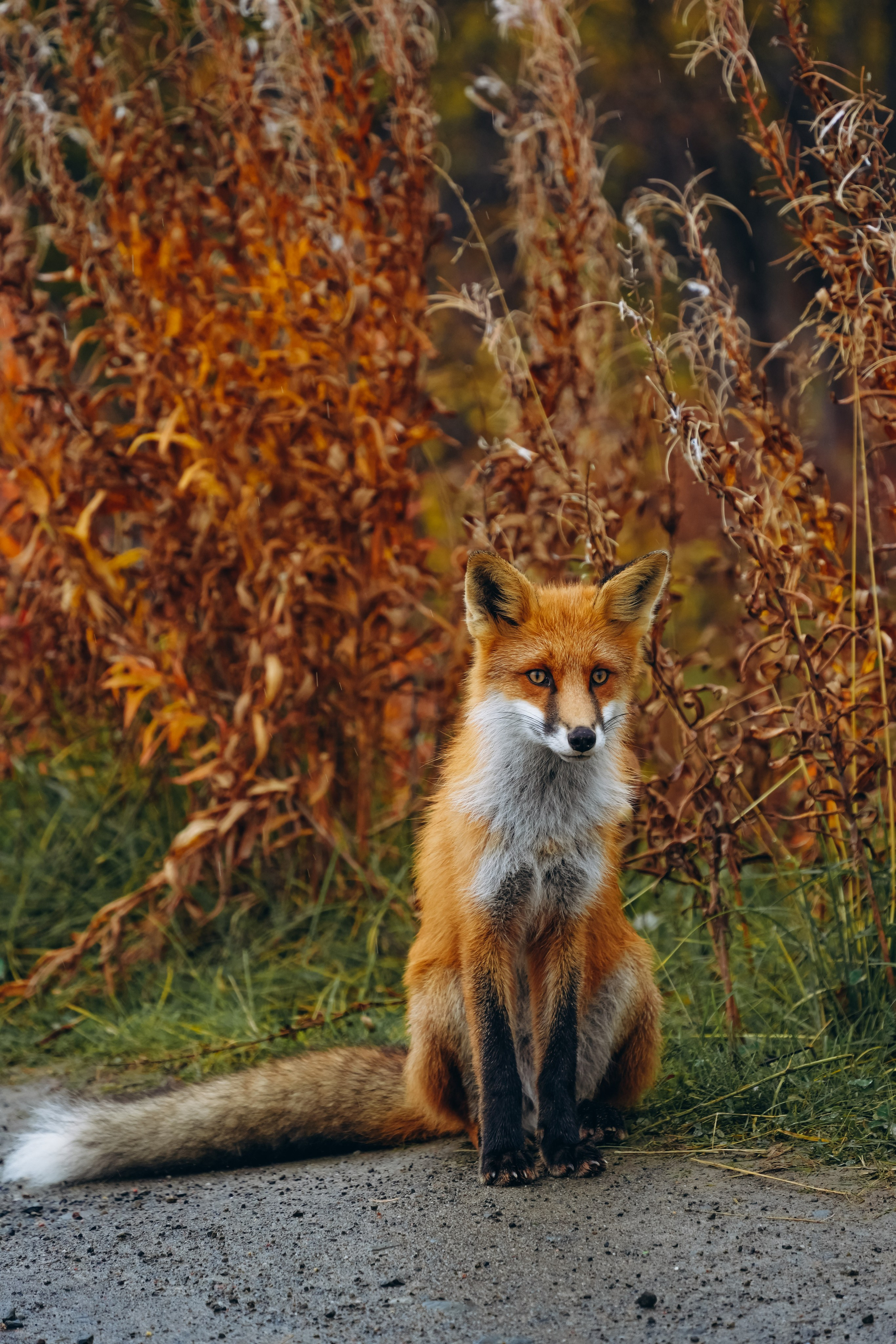 СЕВЕР. Event фотограф Степанова Александра