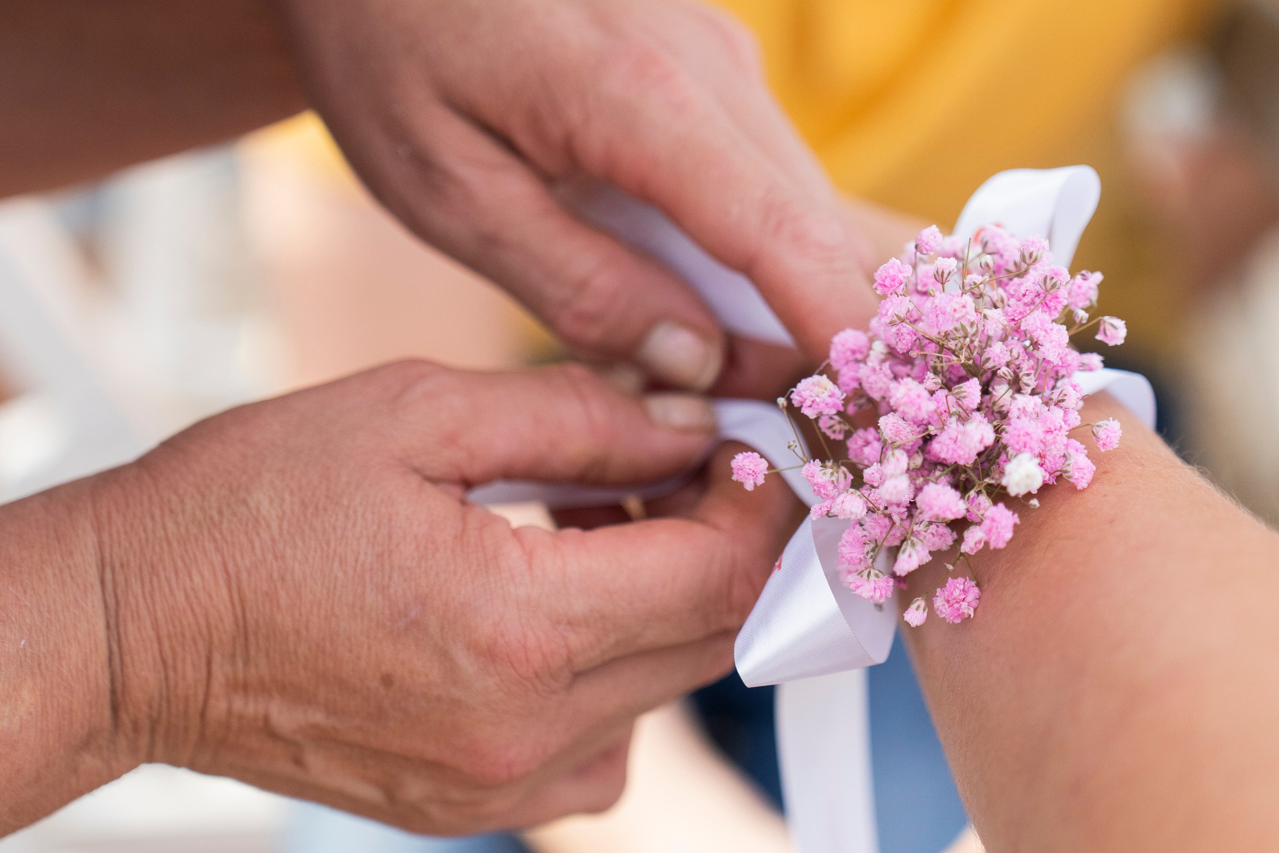 Best Family Fest 2026. Дарья Селихова / Фотограф