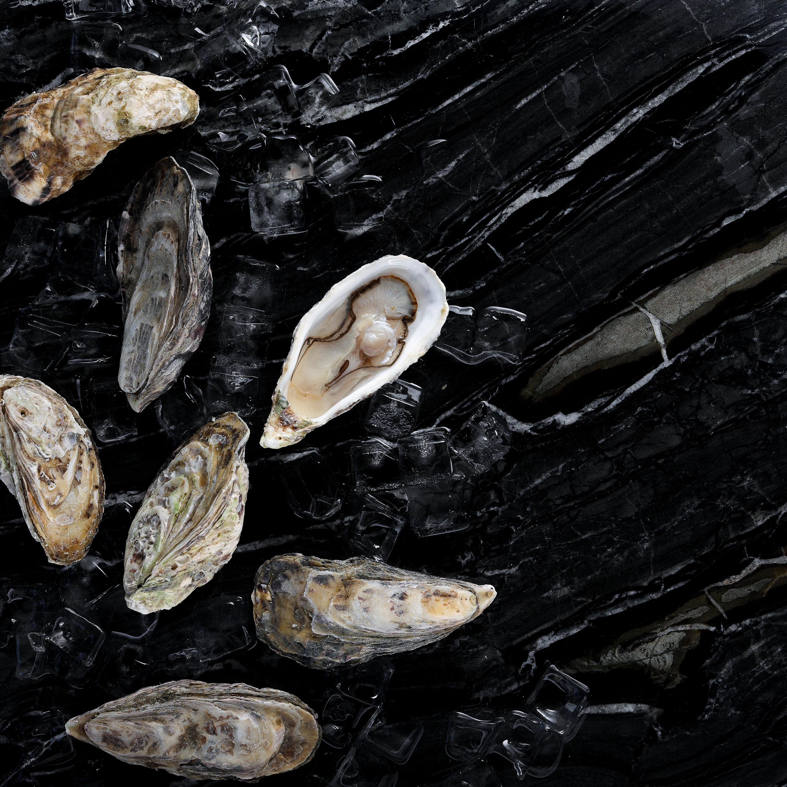 меню для ресторана фотограф Виктор Павлюткин