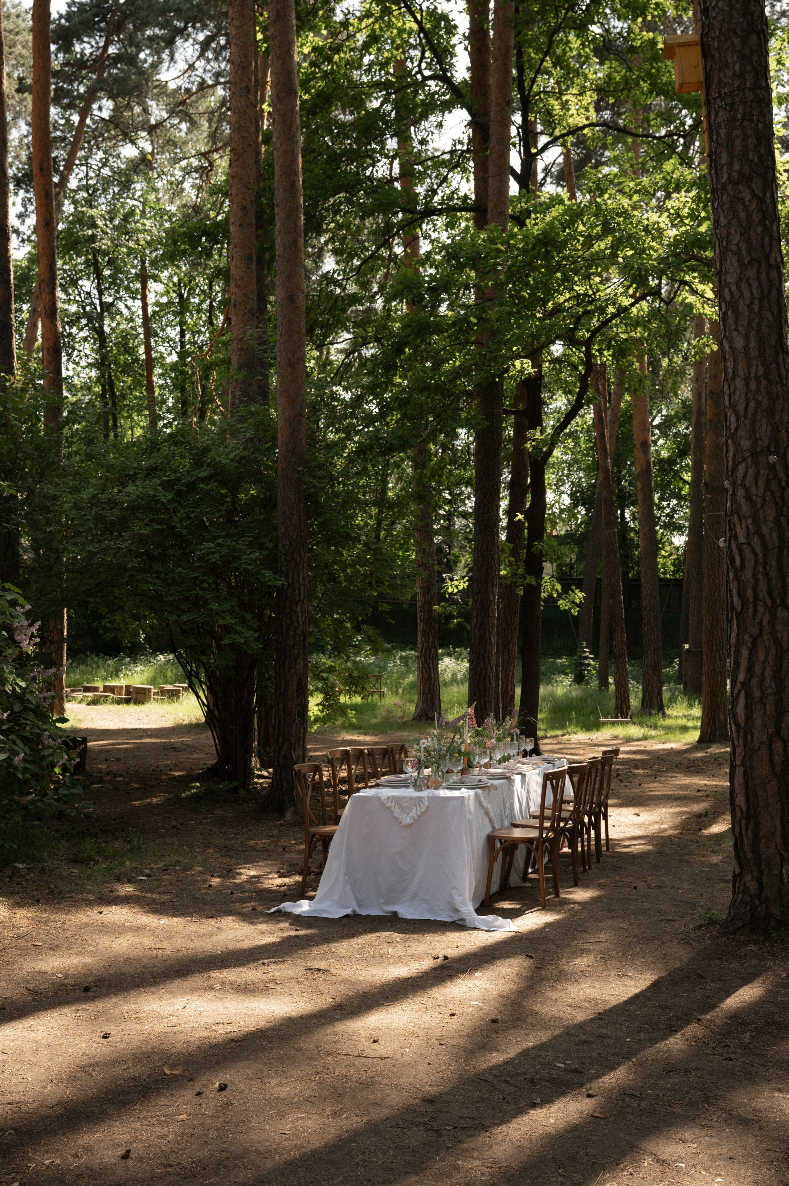 Наше лето. Фотограф Евгения Пронькина