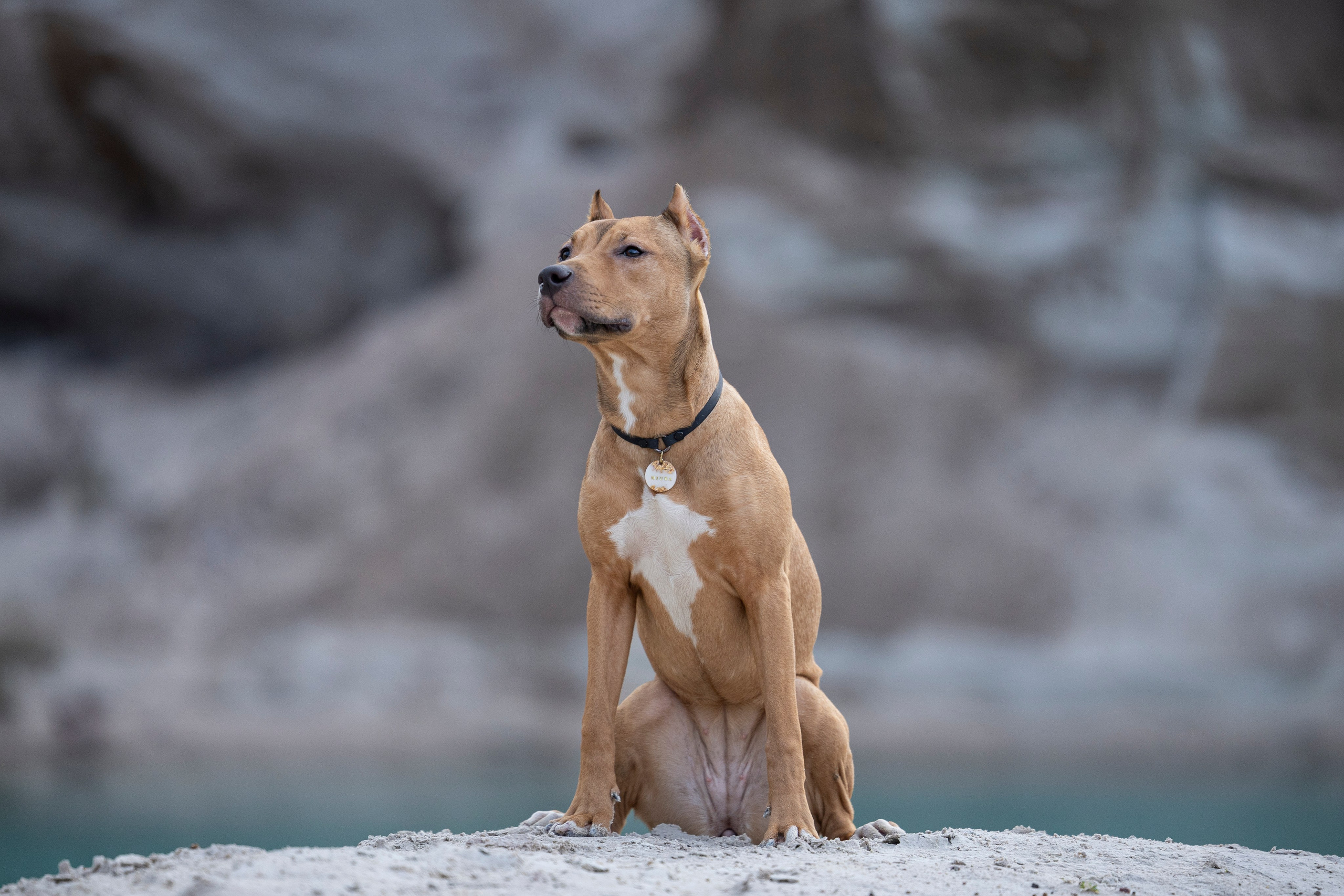 Лужские Мальдивы. Фотограф-анималист Анна Маринич