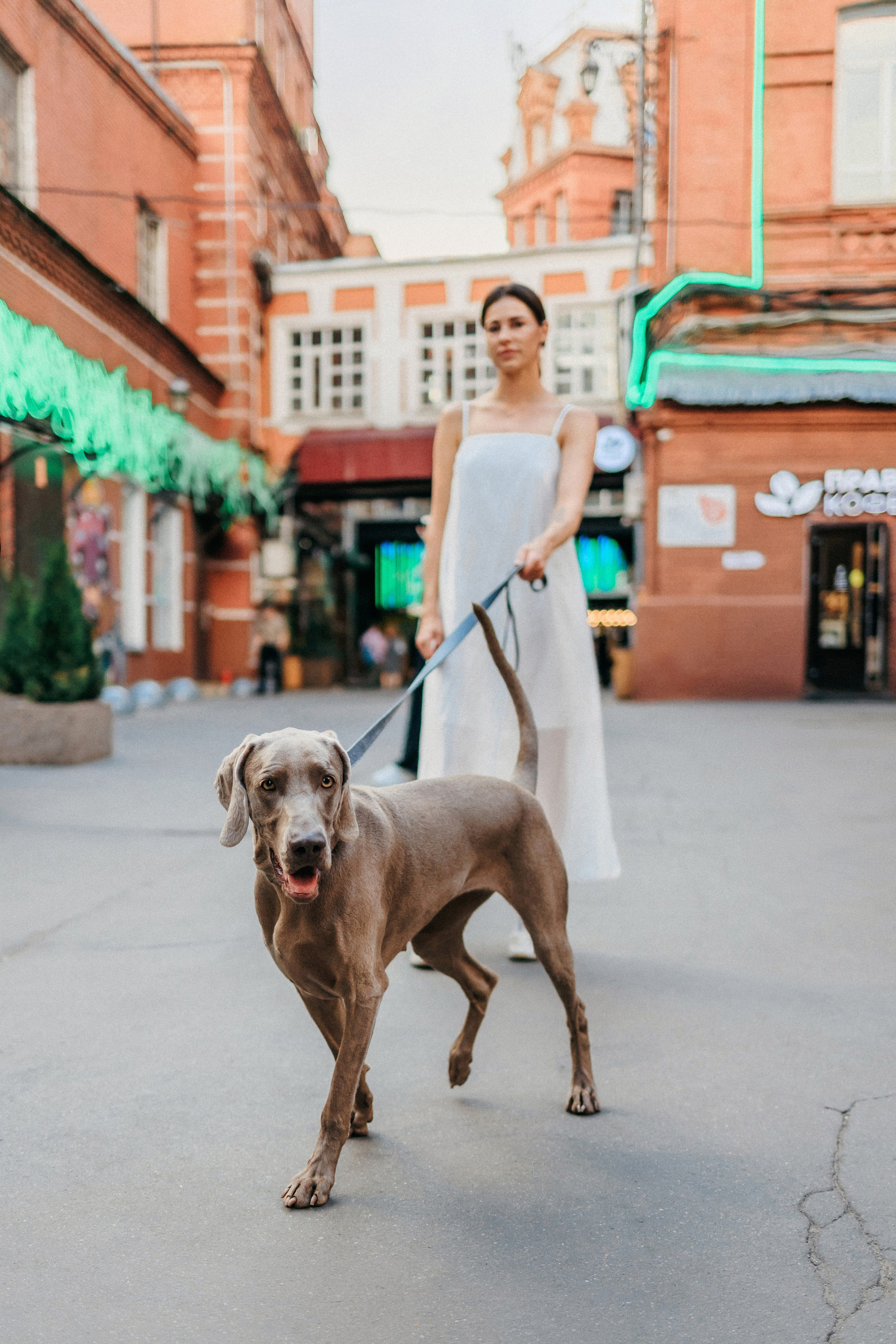 Соня и Майли. Фотограф-анималист Елена Радченко, Москва