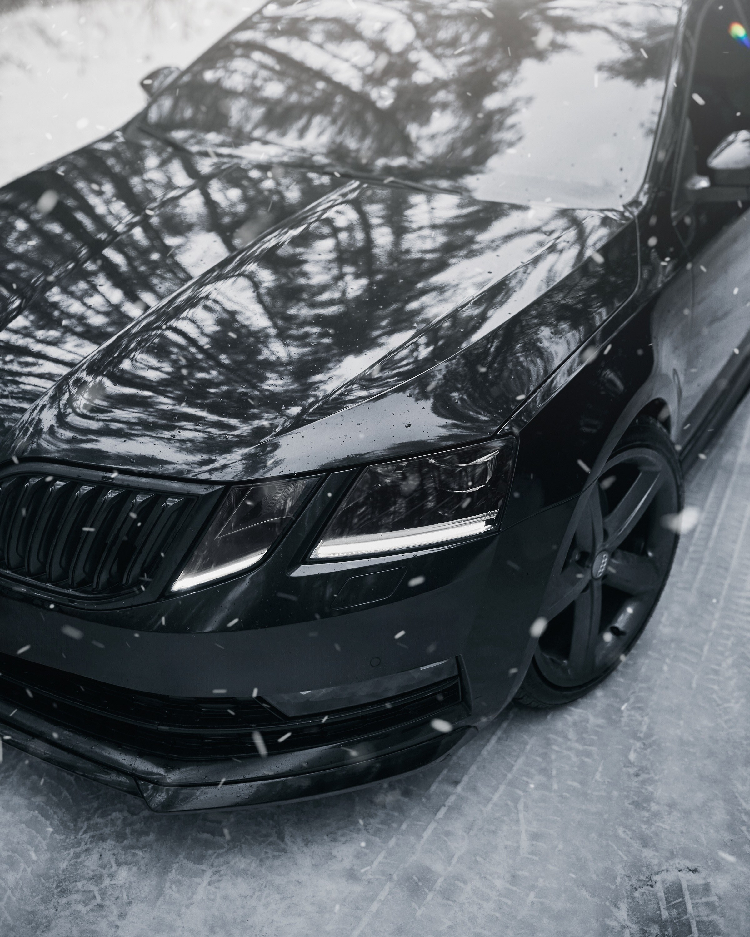 Skoda Octavia | @fuck_credit. DKARPOCHEVA PHOTOGRAPHY