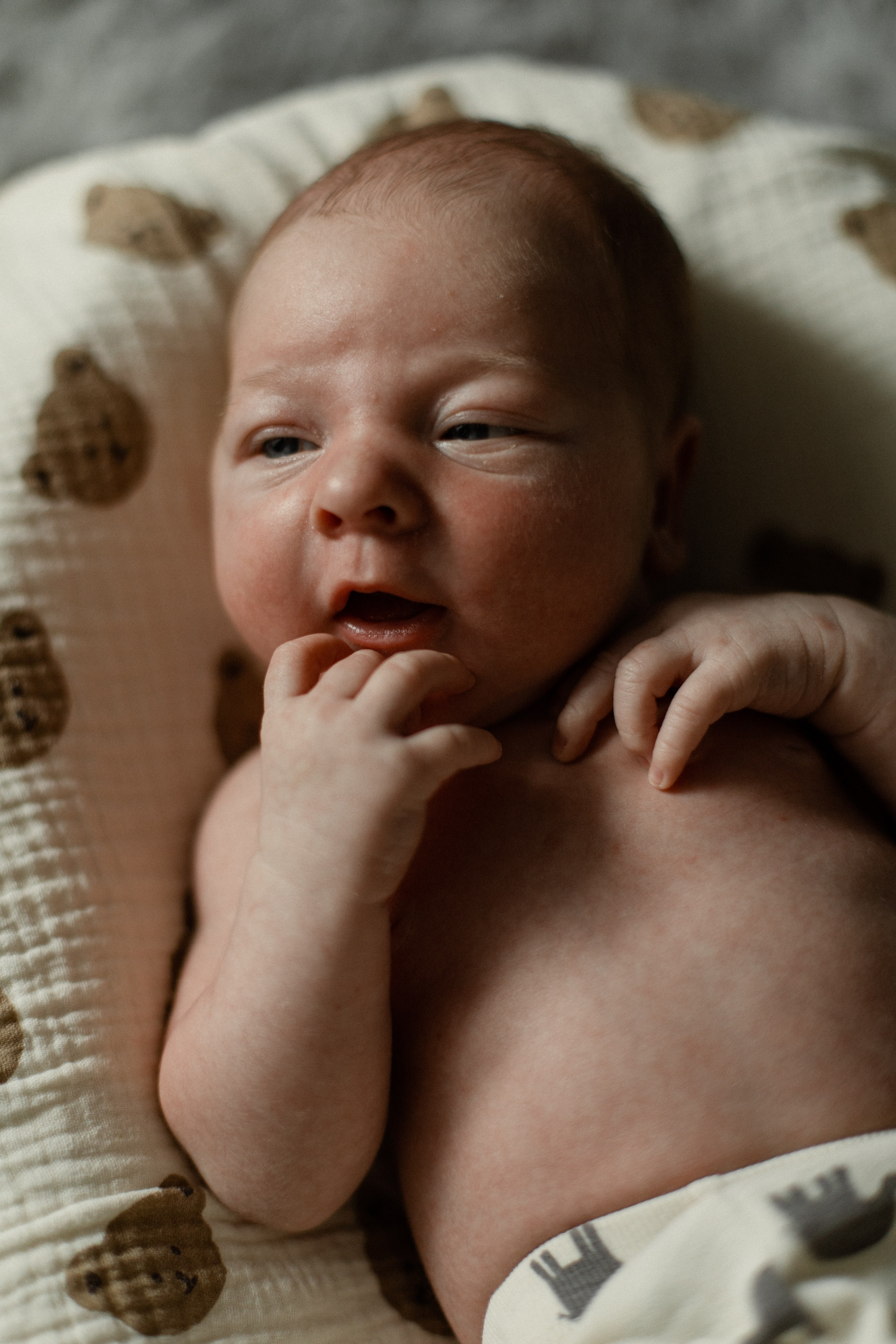 Маленький Евгений. Семейный фотограф Челябинск