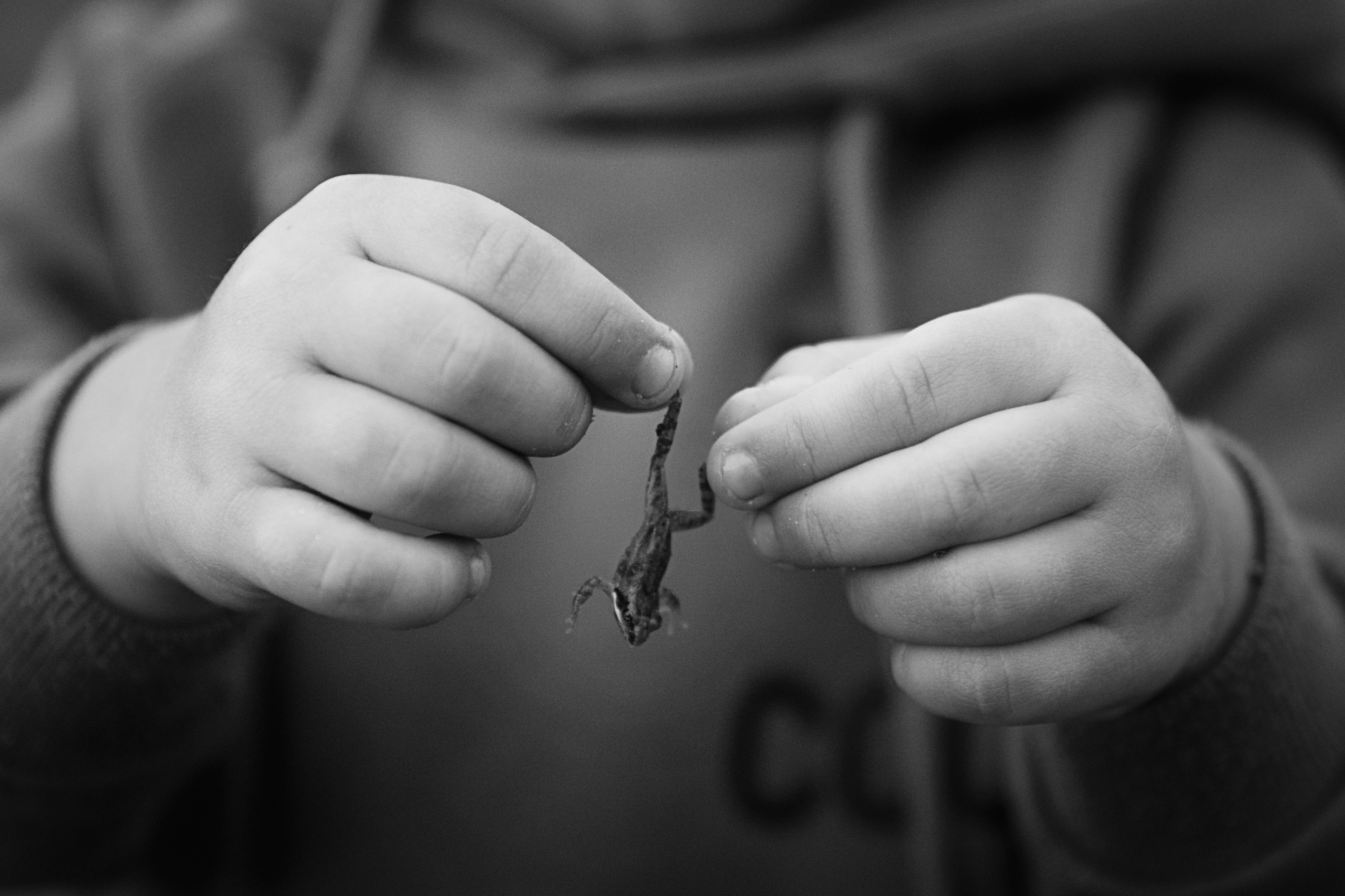 Фаут. Семейная. Фотограф Сергеева Анна