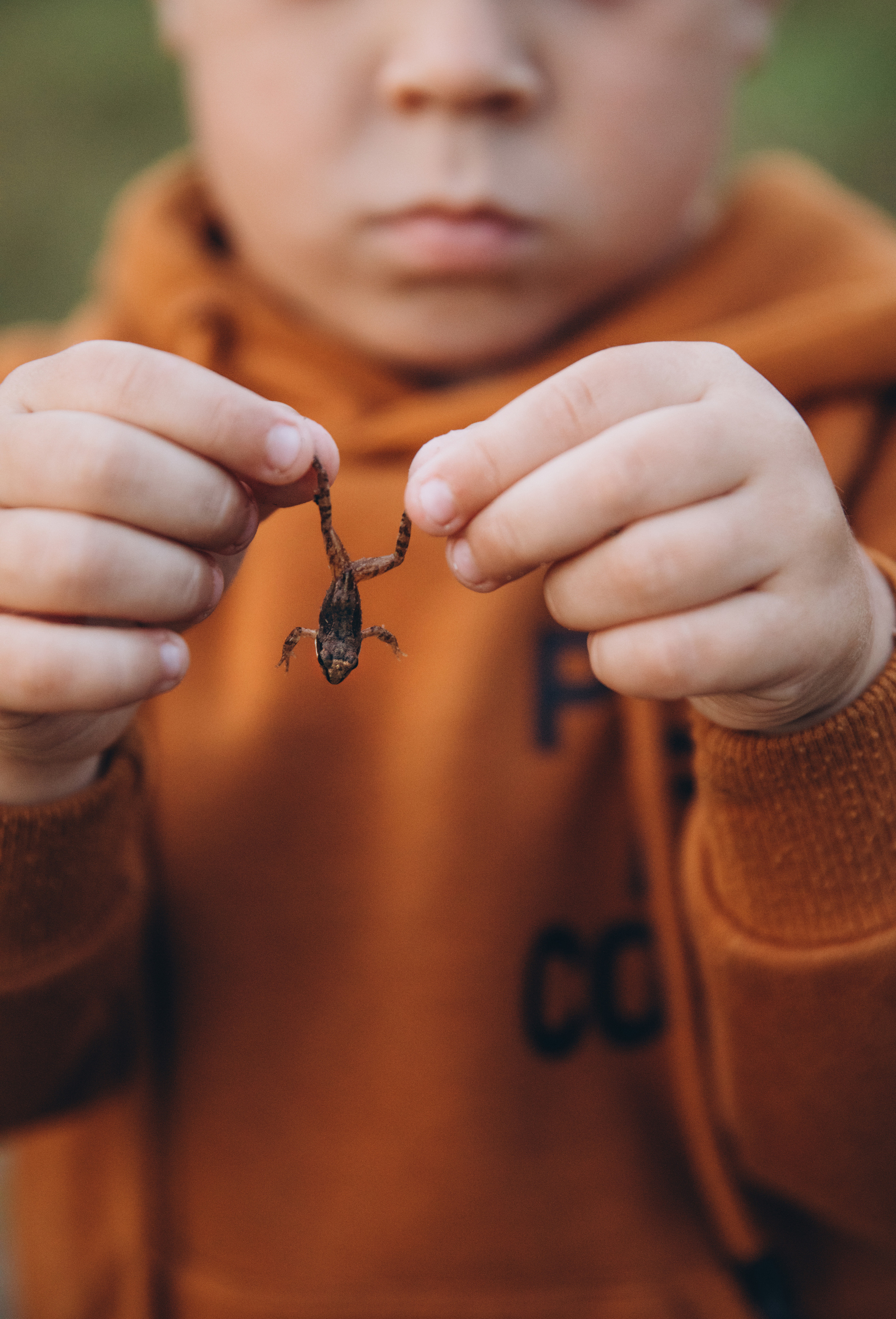 Фаут. Семейная. Фотограф Сергеева Анна