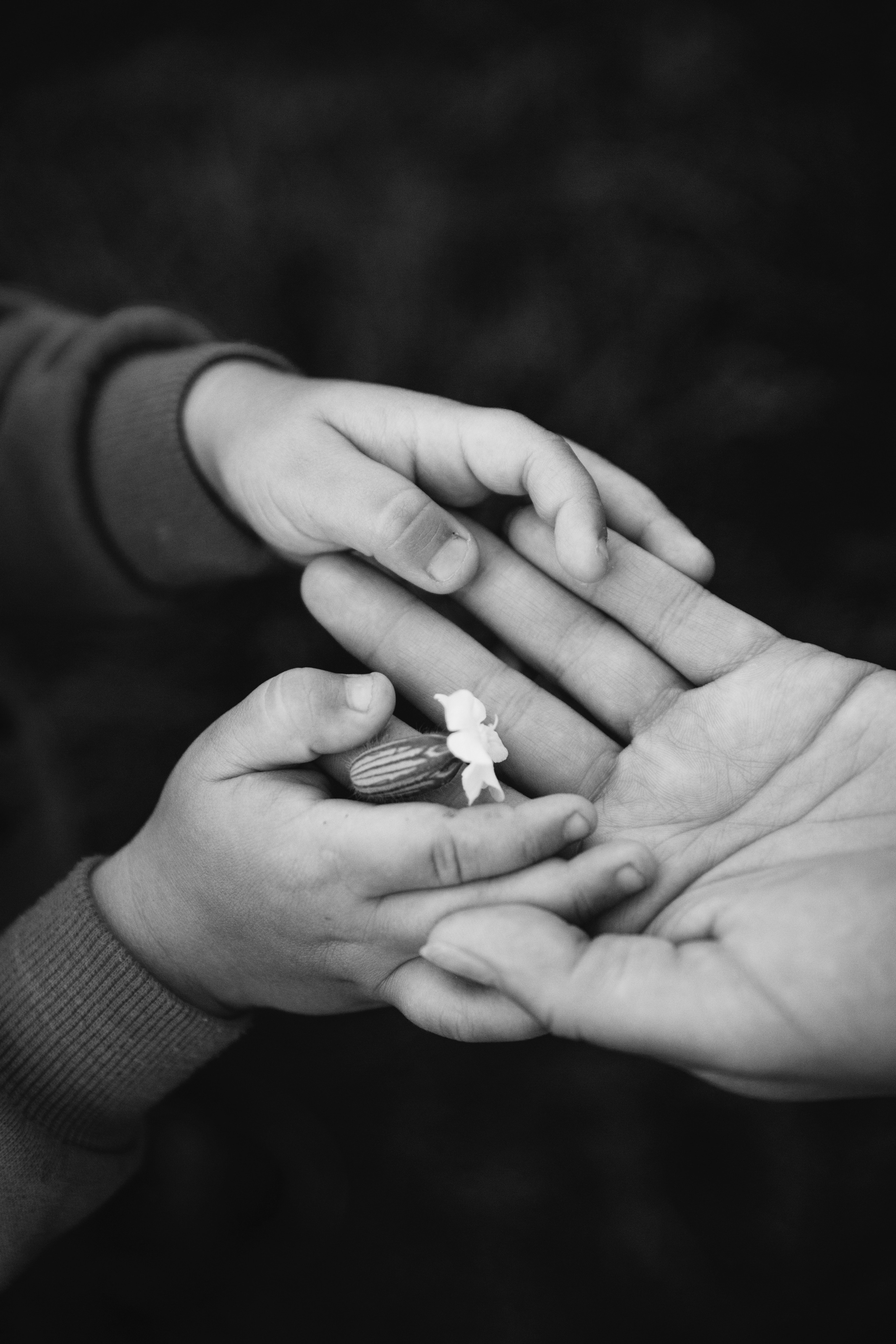 Фаут. Семейная. Фотограф Сергеева Анна