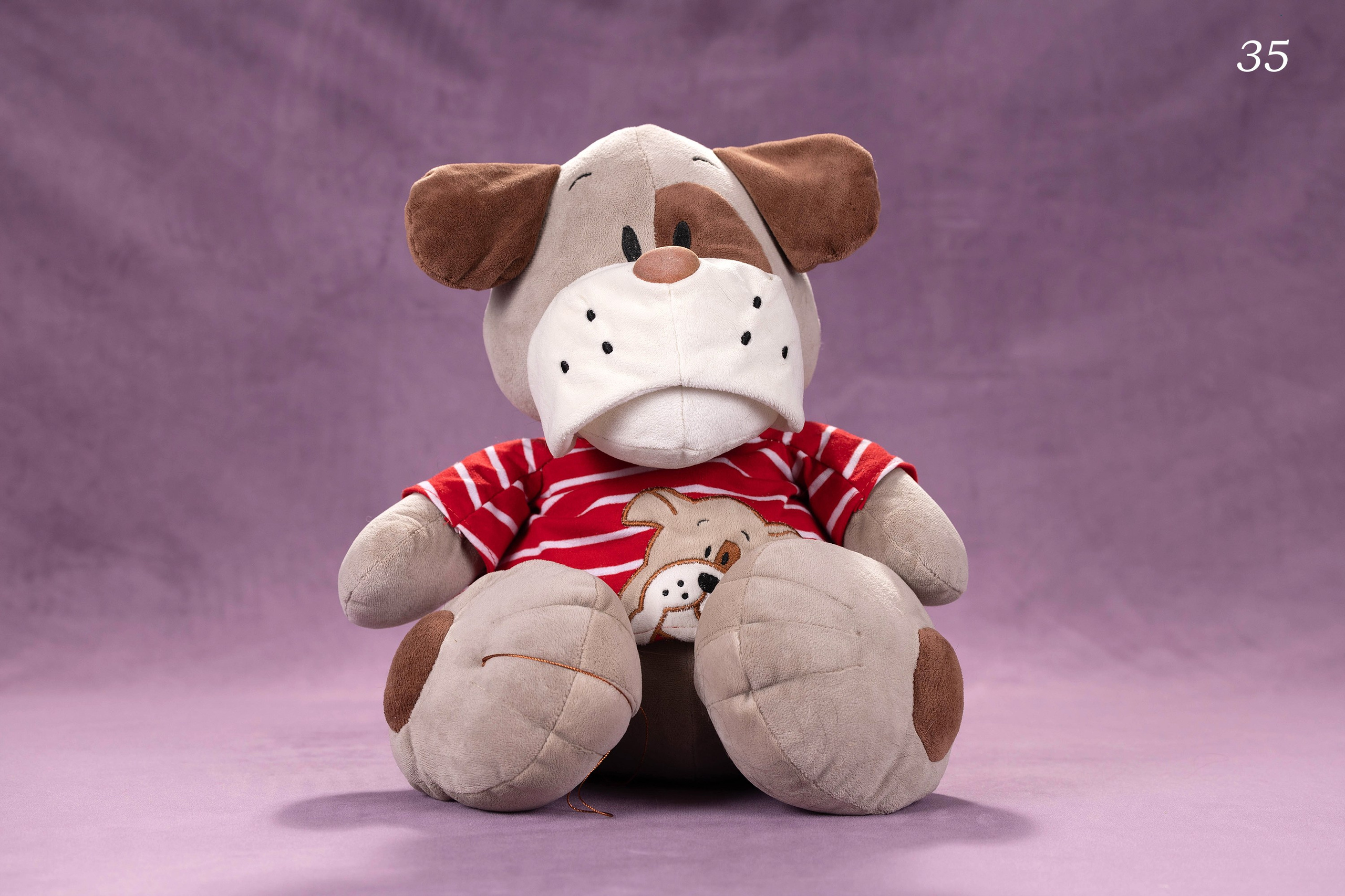 Фоны. Фотограф-анималист в Омске Екатерина Маричева