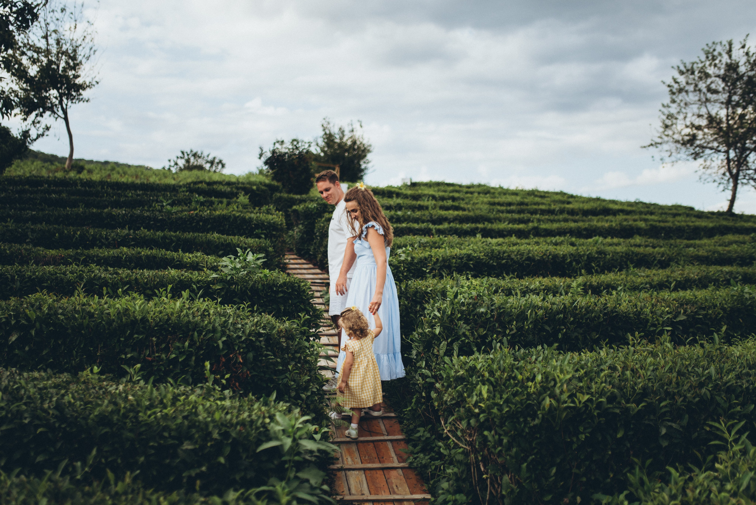 Семейная фотосессия на чайной плантации Сочи. Фотограф в Сочи — Маргарита Поганова
