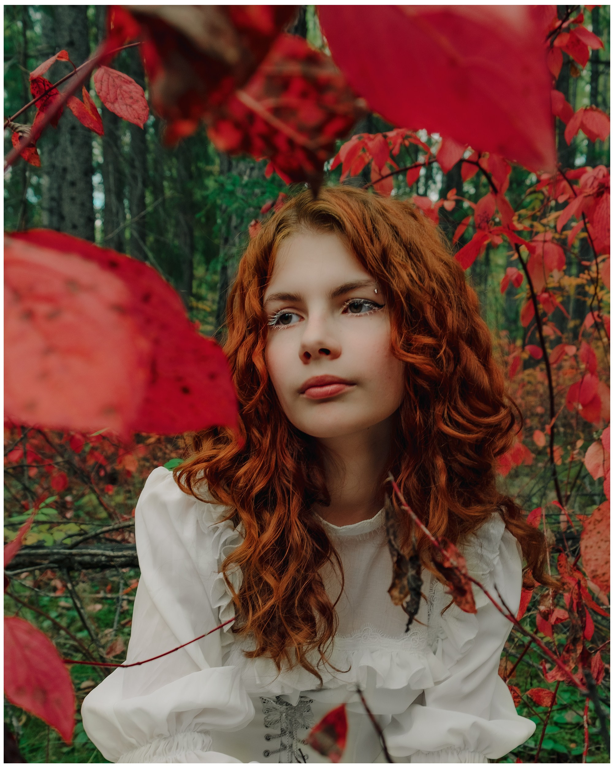 Осень. ФОТО