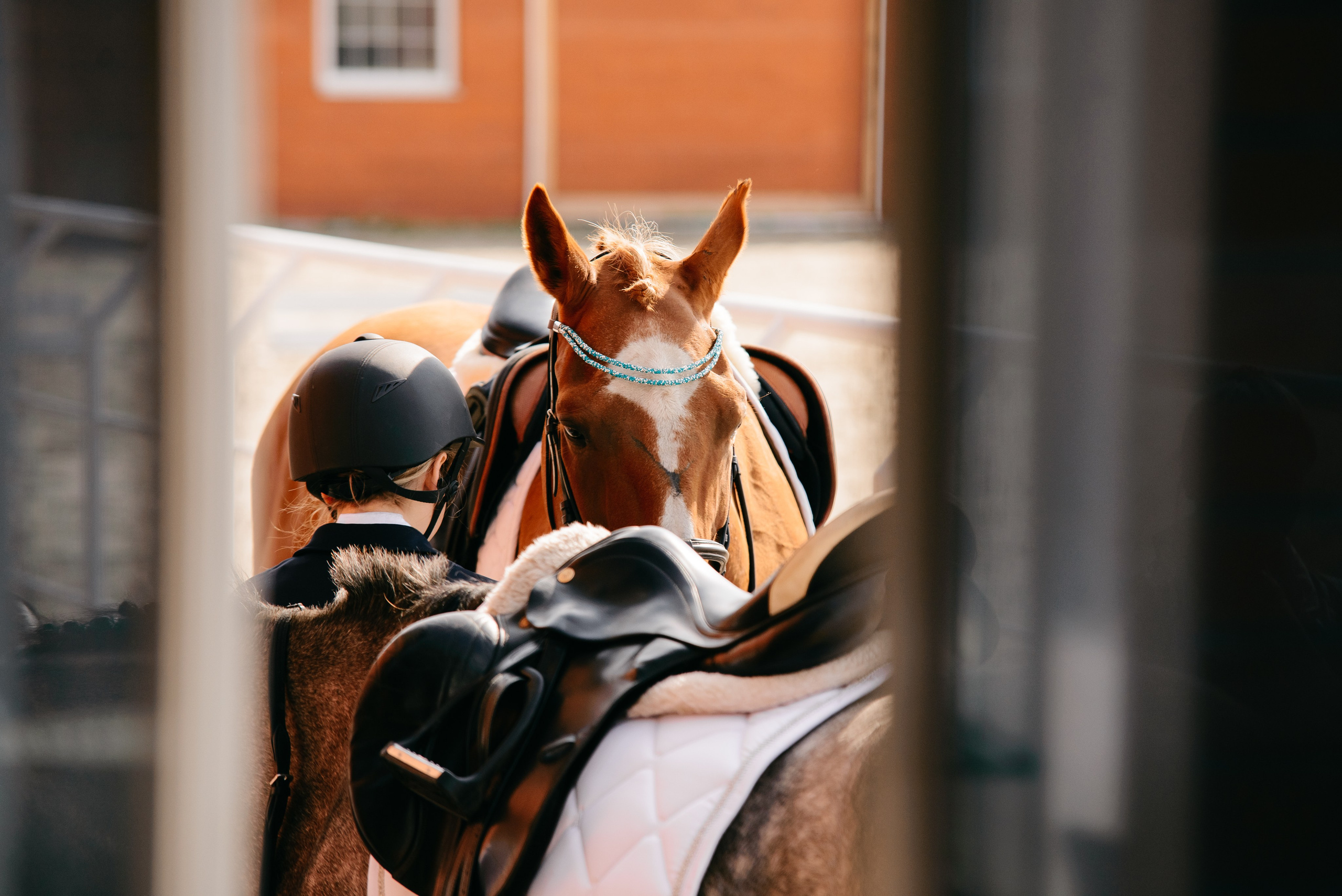 Соревнования