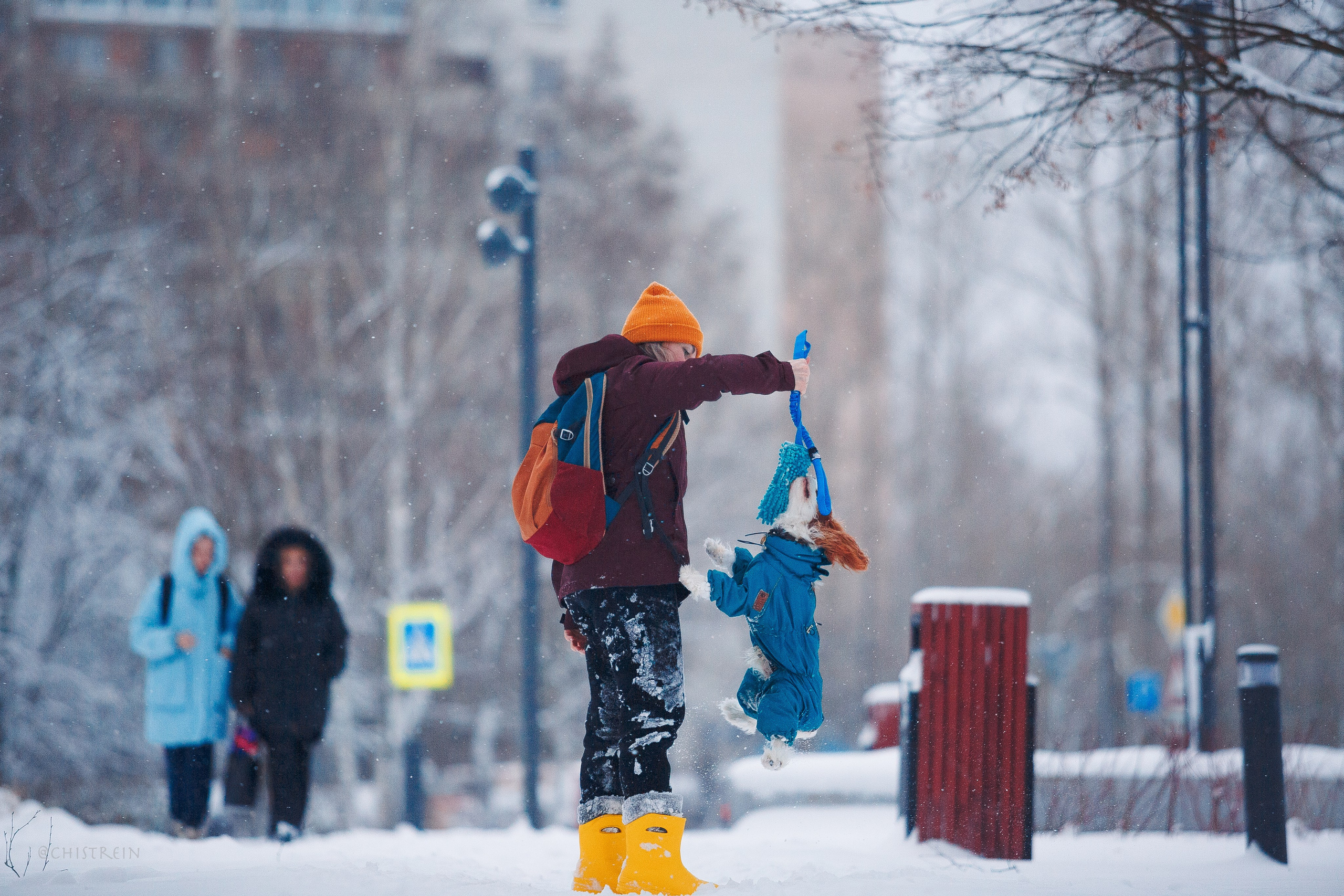Внезапно апрельская зима. Фотограф-анималист Наталия Чистюхина в г. Сосновый Бор и ЛО