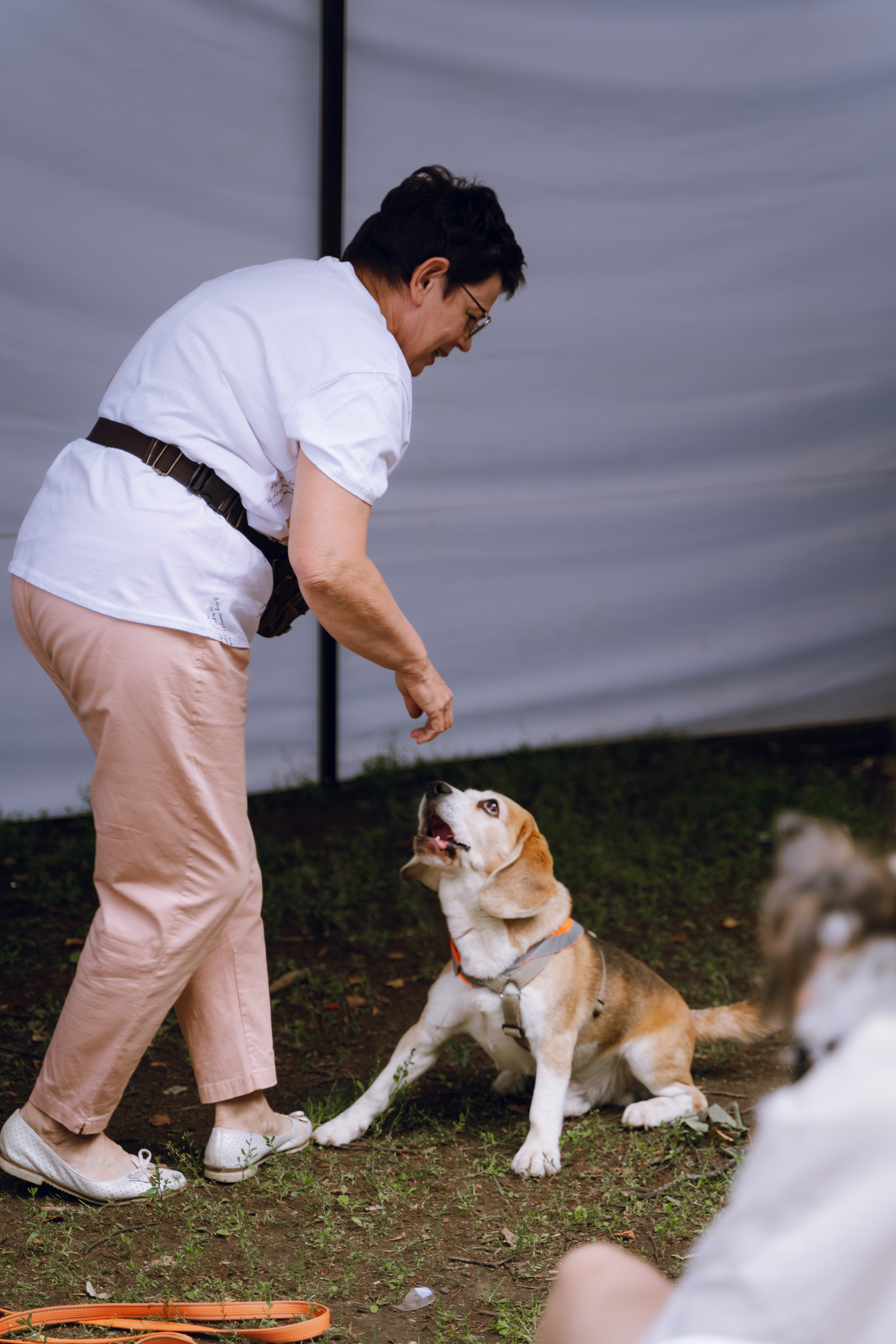 Площадка фестиваля «Мампус и его друзья» в Лесопарке 2025. Фотограф Надежда Погребняк | Рязань | Москва