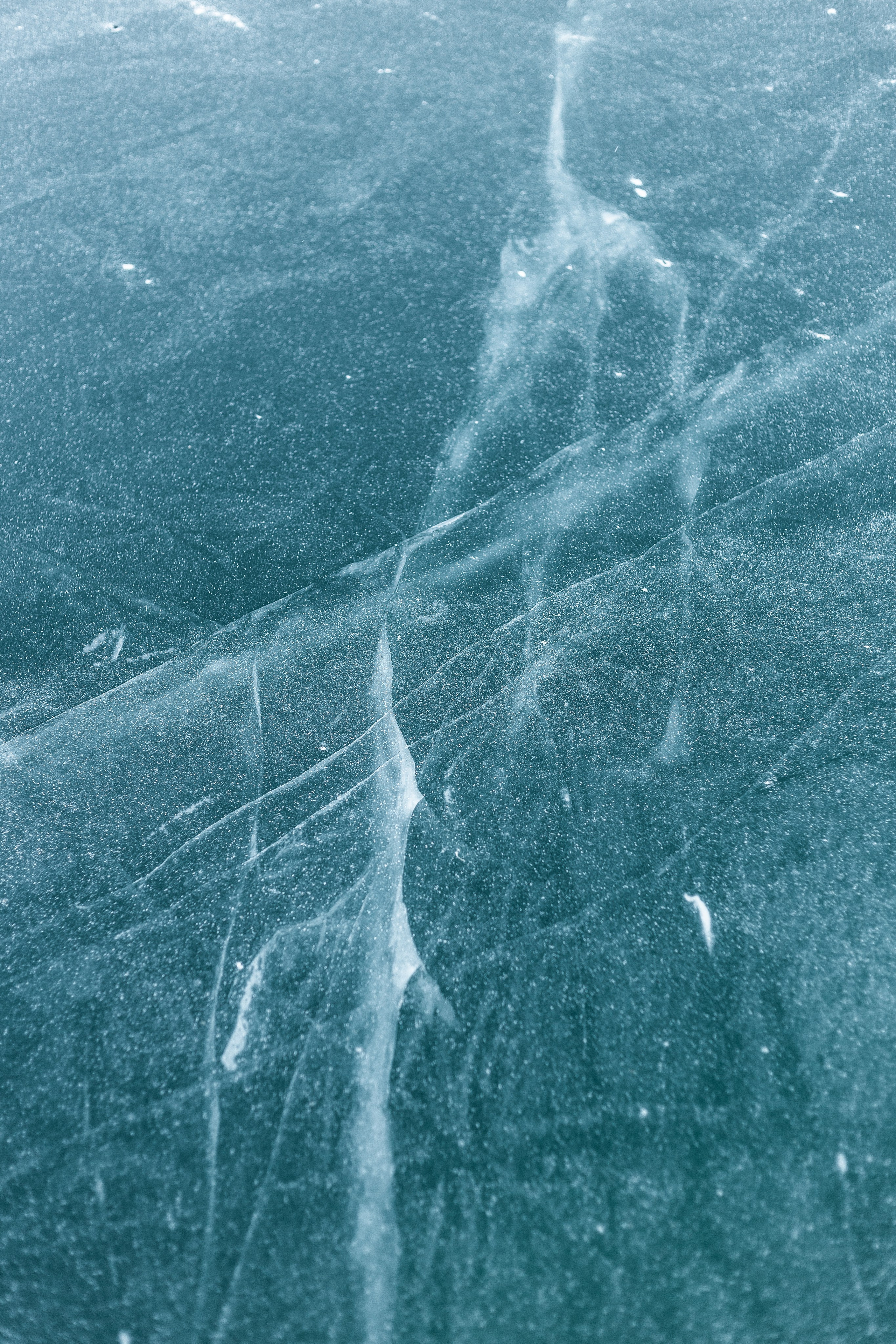 Nuewens Winter. Свадебный фотограф в Нальчике Алим Джаппуев