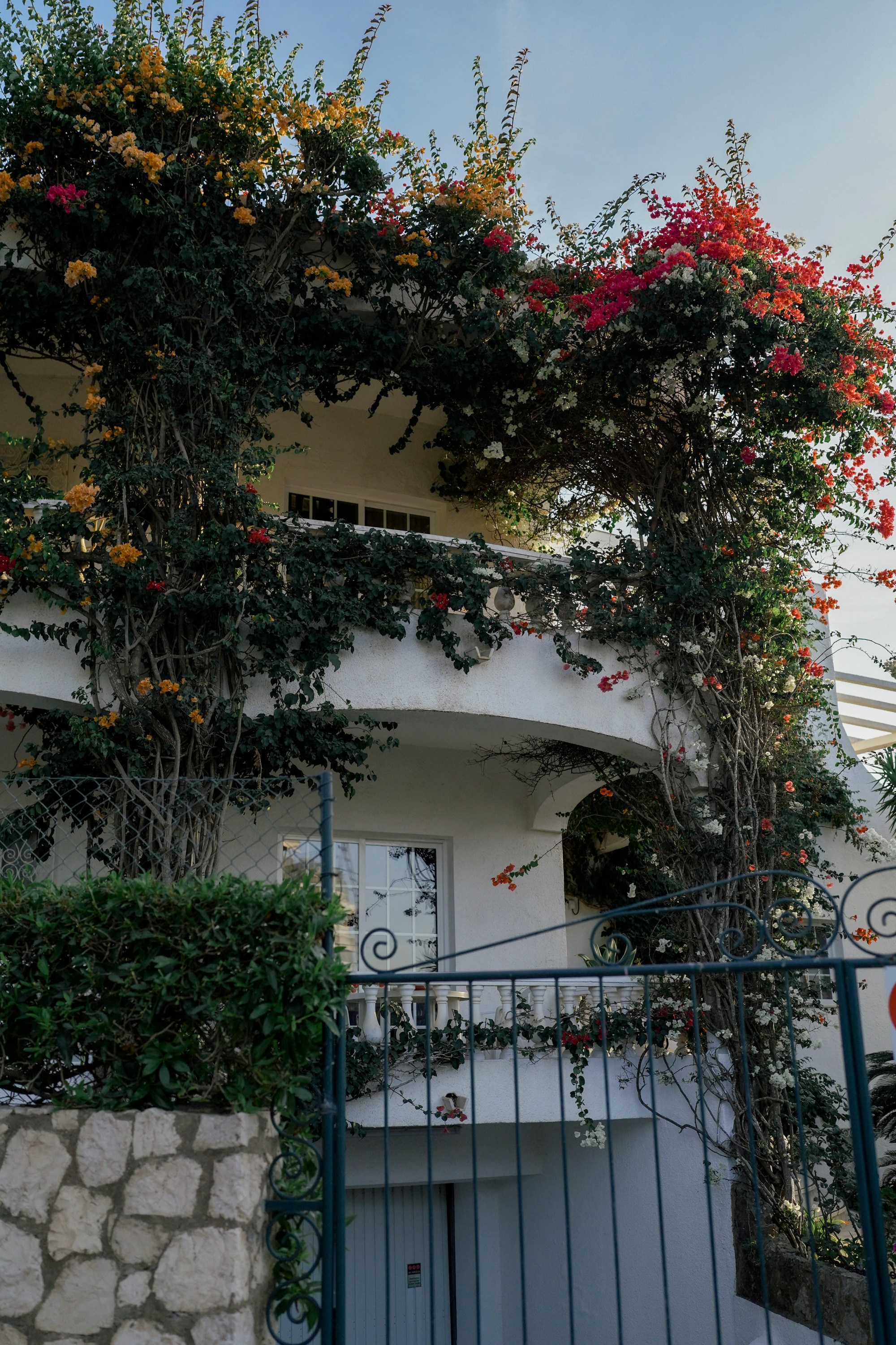 ART PHOTOGRAPHY. Constan photography