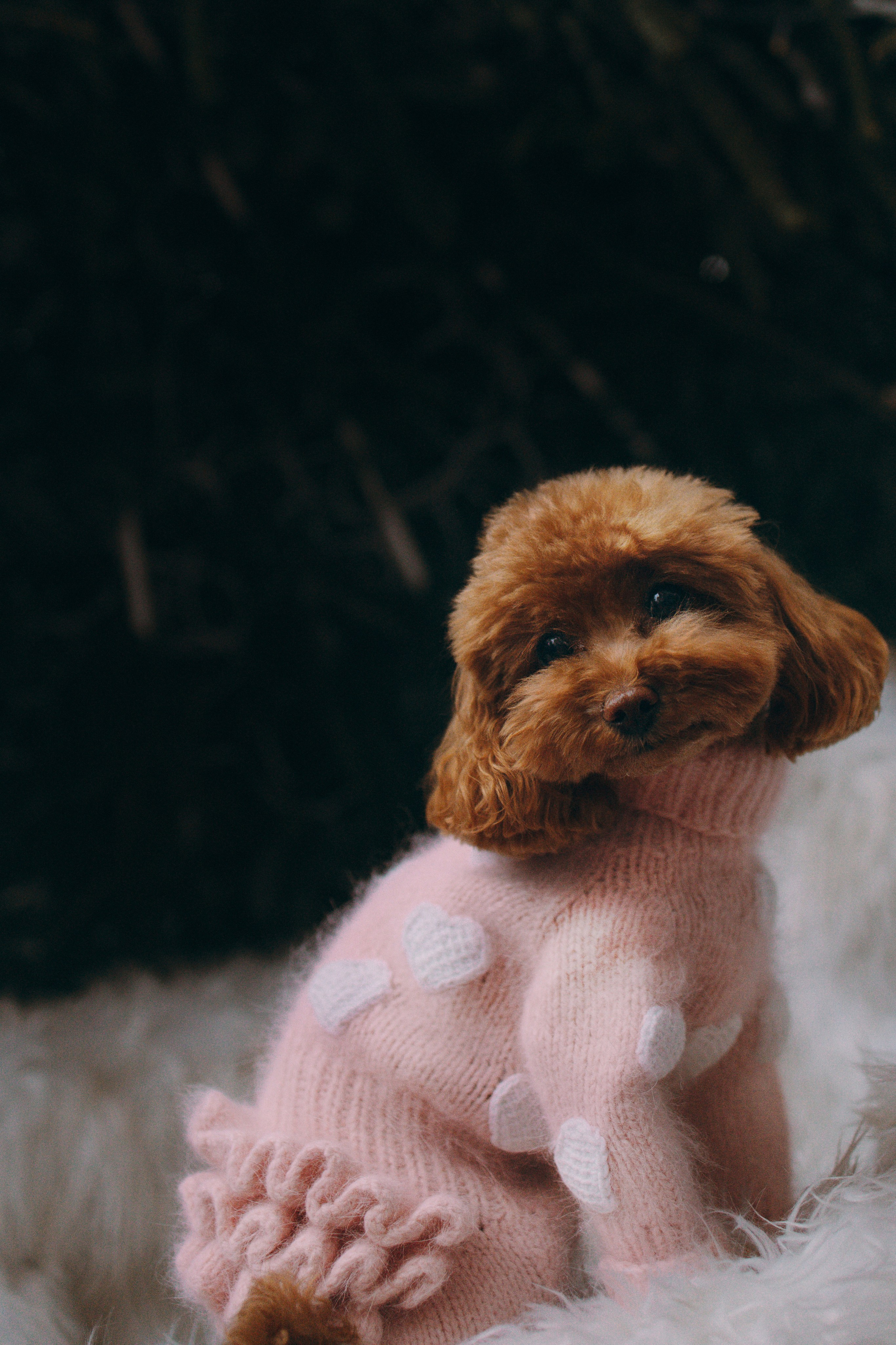 Лилия & Люся. Семейный фотограф Питер •love-story•|Санкт-Петербург