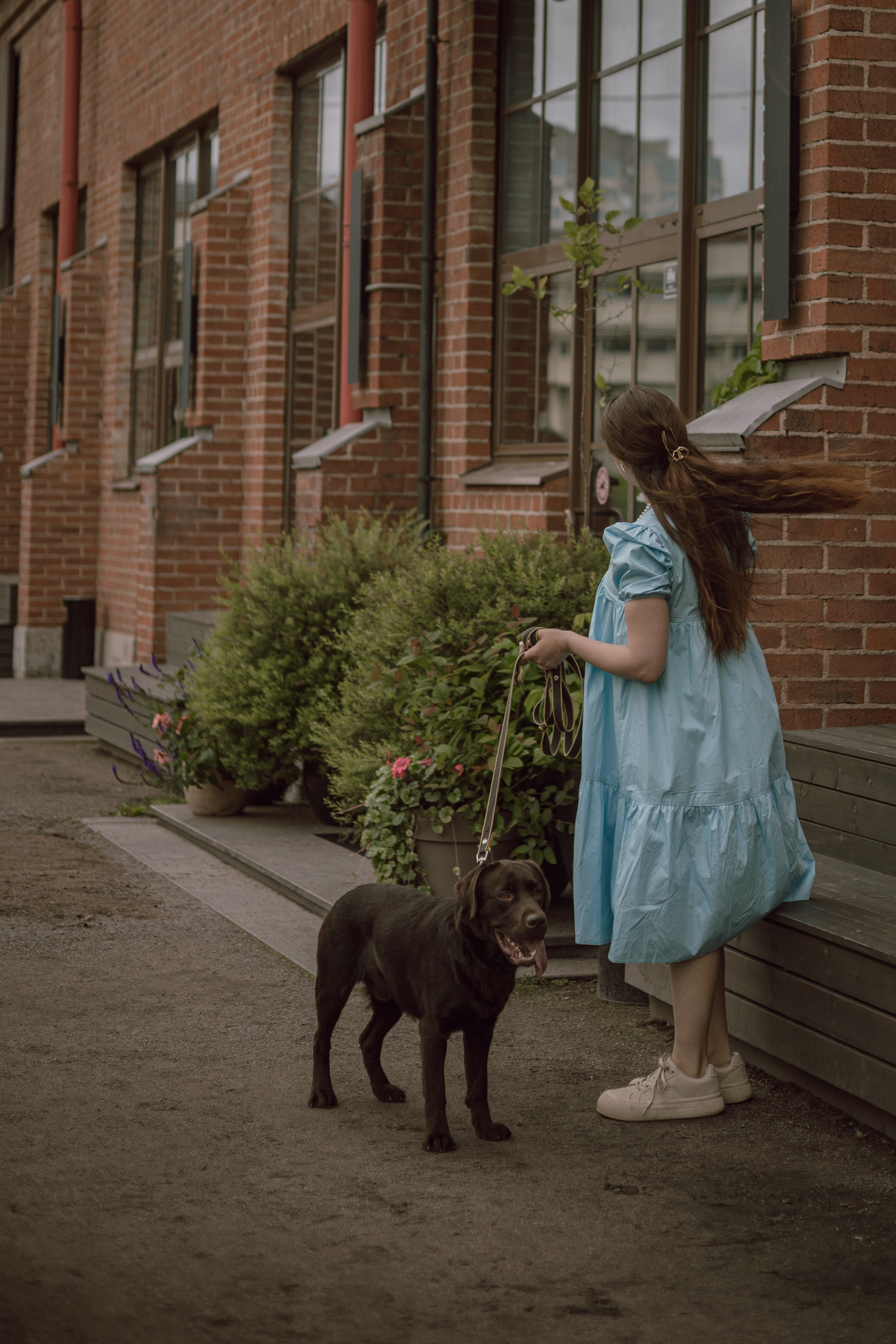 Оля и шоколадный Тимофей. Фотограф — анималист •love-story•|Санкт-Петербург